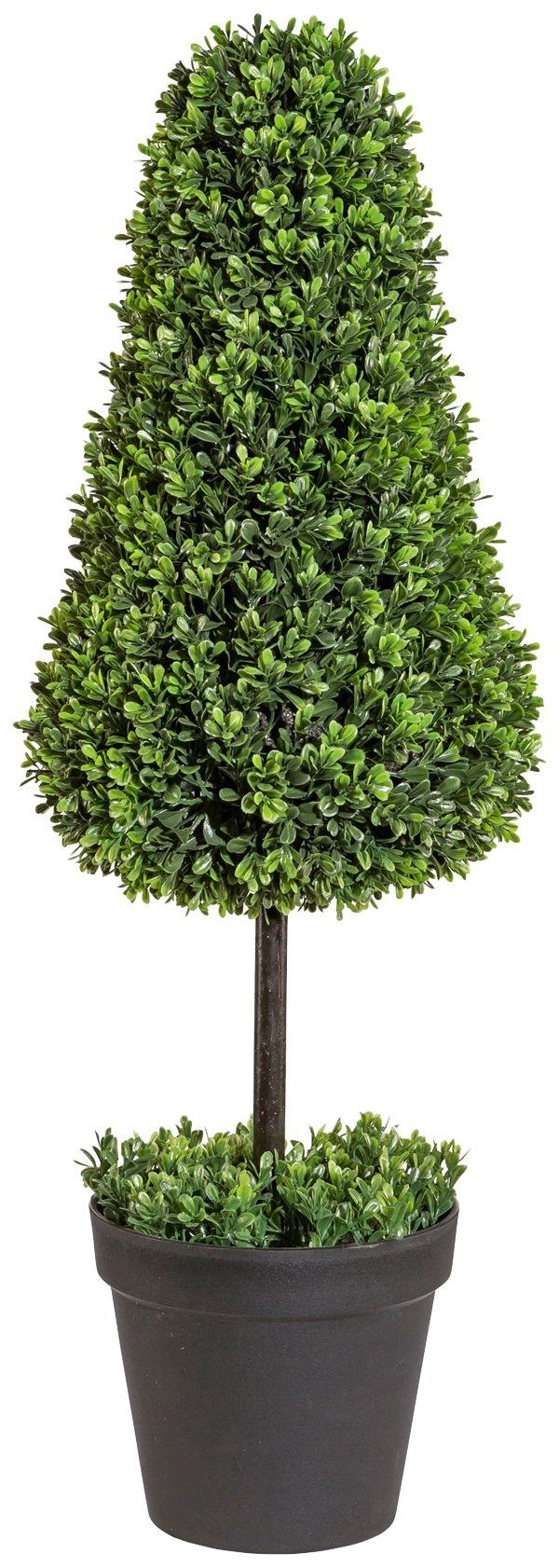 Image of Creativ green Kunstpflanze »Buchsbaumkegel auf Stamm«, (1 St.), im Kunststofftopf bei Ackermann Versand Schweiz