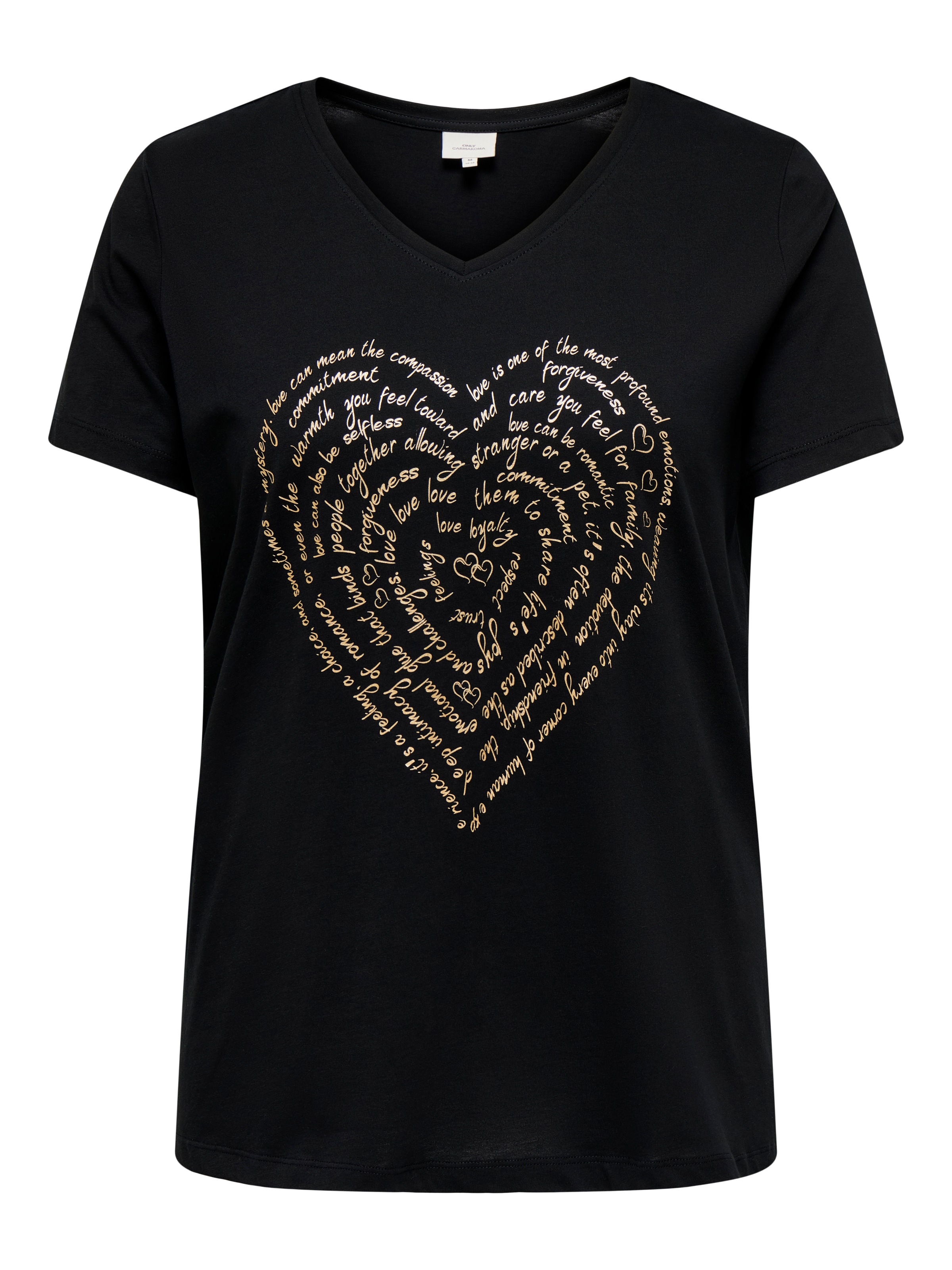 ONLY CARMAKOMA T-shirt à manches courtes »CARLYDIA LIFE SS V-NECK REG TEE JRS«
