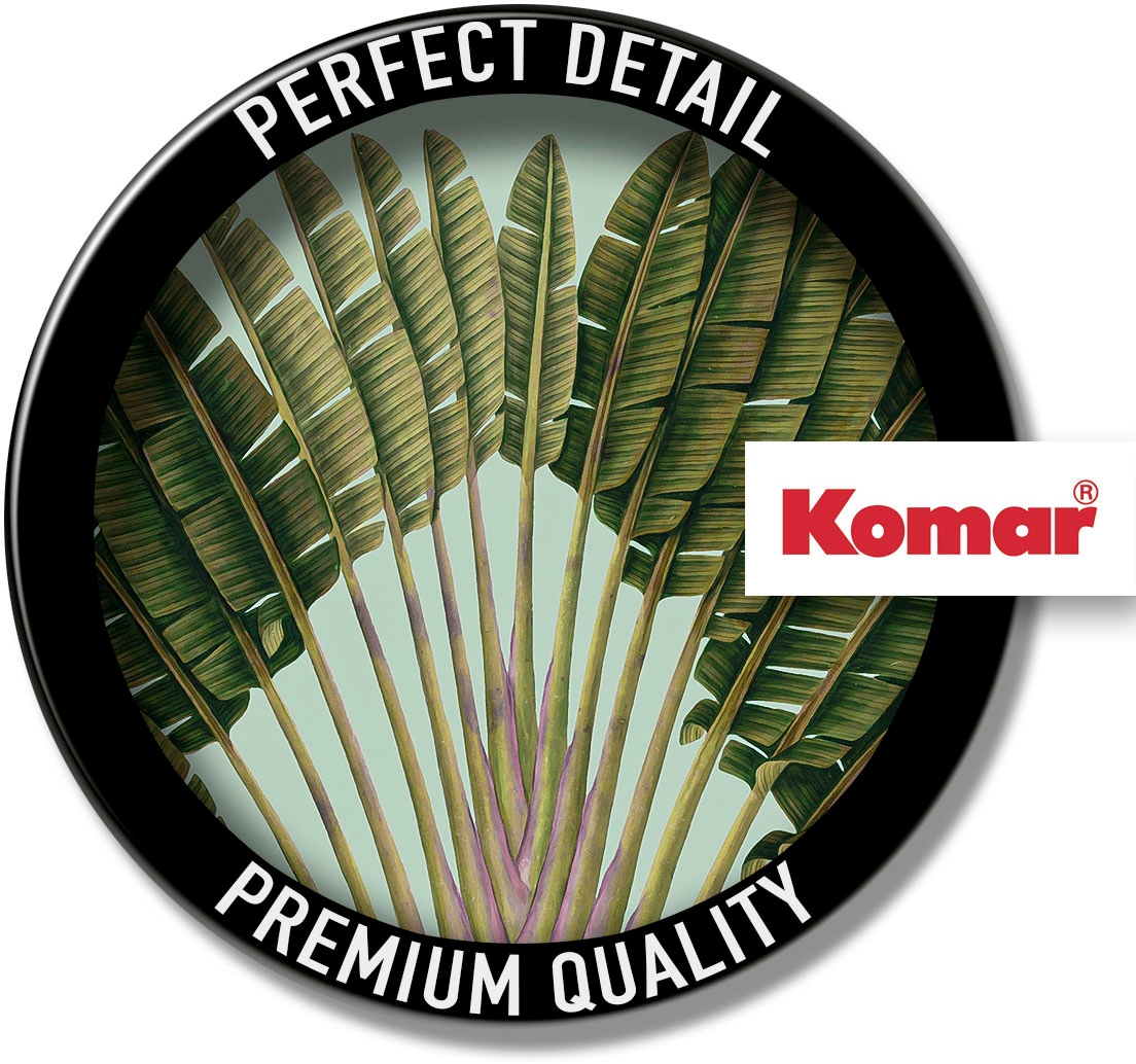 Komar Bild »Botanical Garden Pinnate Palm« Natur 1 Stk. tlg. Wandbild zur Dekoration - ohne Rahmen