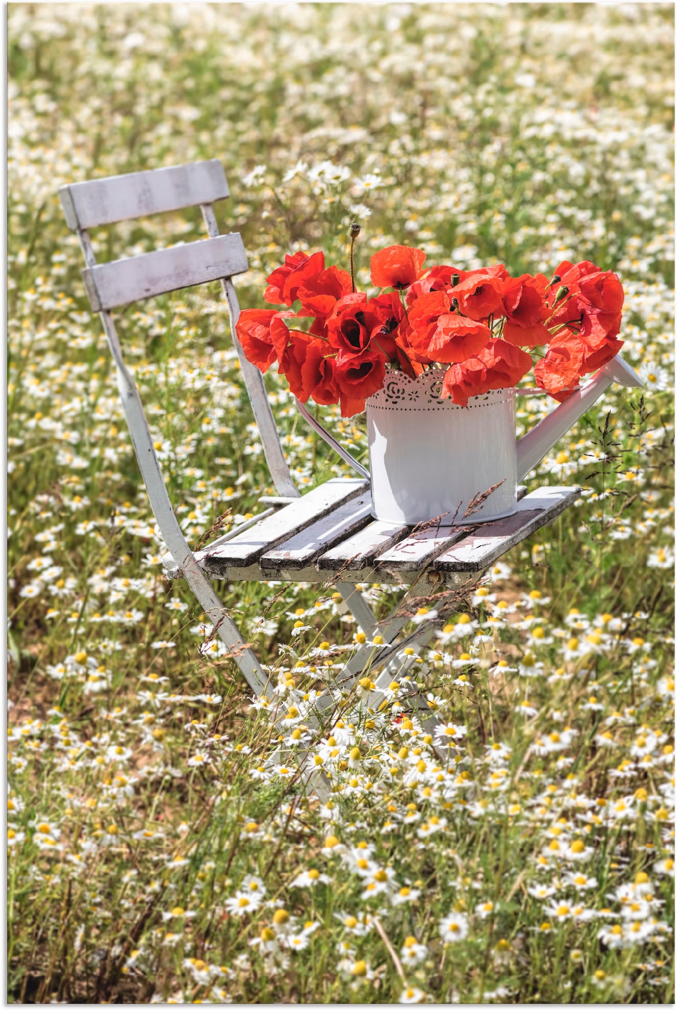 Image of Artland Alu-Dibond-Druck "Stuhl im Kamille Feld mit Mohnblüten" Blumenwiese 1 Stk. tlg. für Innen- und Aussenbereich geeignet, Outdoorbild