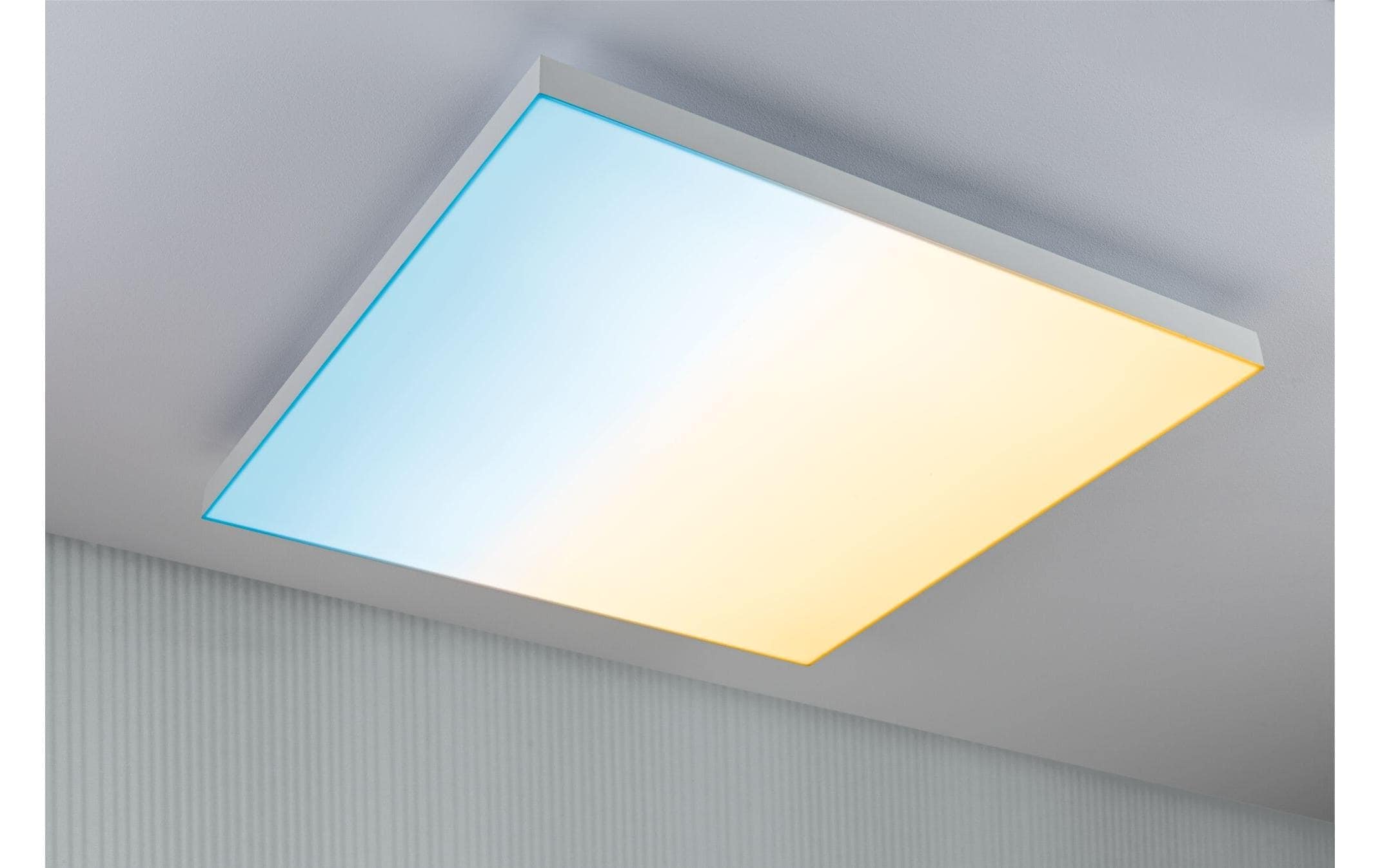 Paulmann Deckenleuchte »LED Panel Ve«
