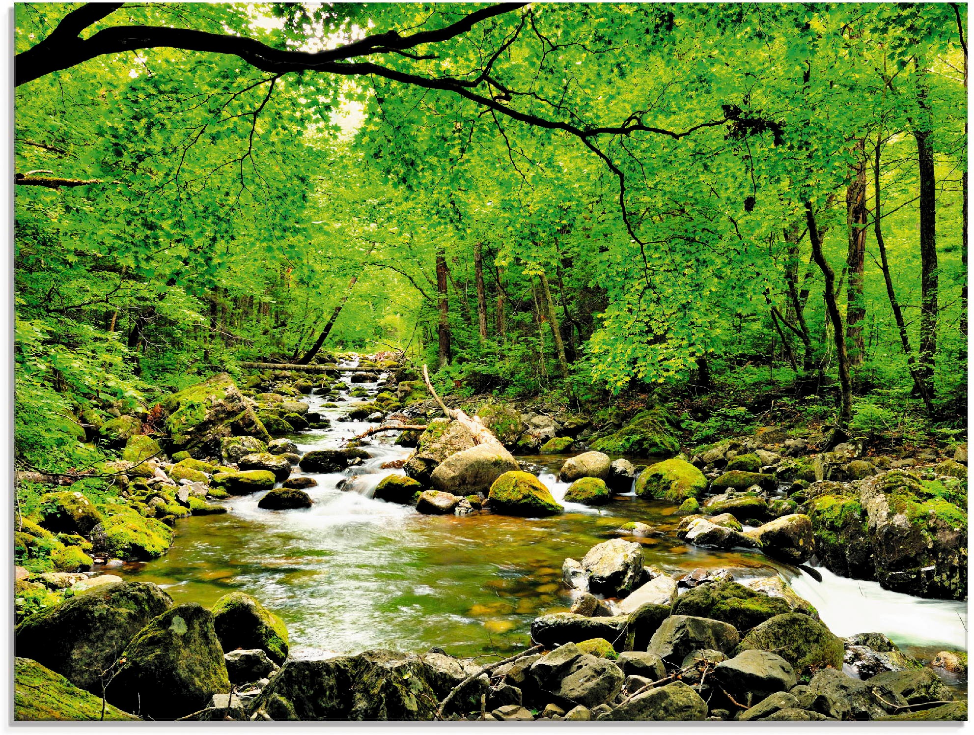 Image of Artland Glasbild »Herbstwald Fluss Smolny«, Wald, (1 St.) bei Ackermann Versand Schweiz