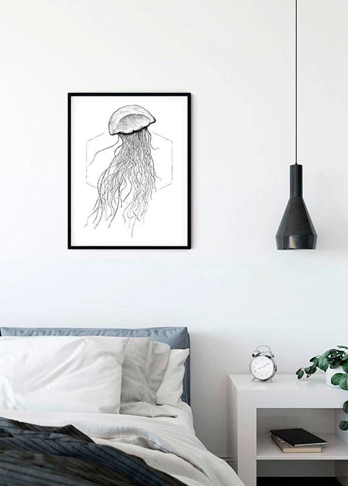 Komar Image »Jellyfish White« Animaux 1 cuis tlg. Wandbild zur Dekoration - ohne Rahmen