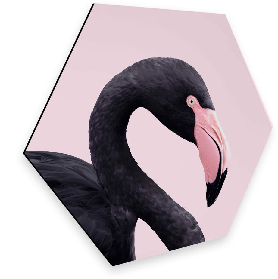 Image of Wall-Art Metallbild »Rosa Flamingo Pink Black Hexagon«, (1 St.) bei Ackermann Versand Schweiz