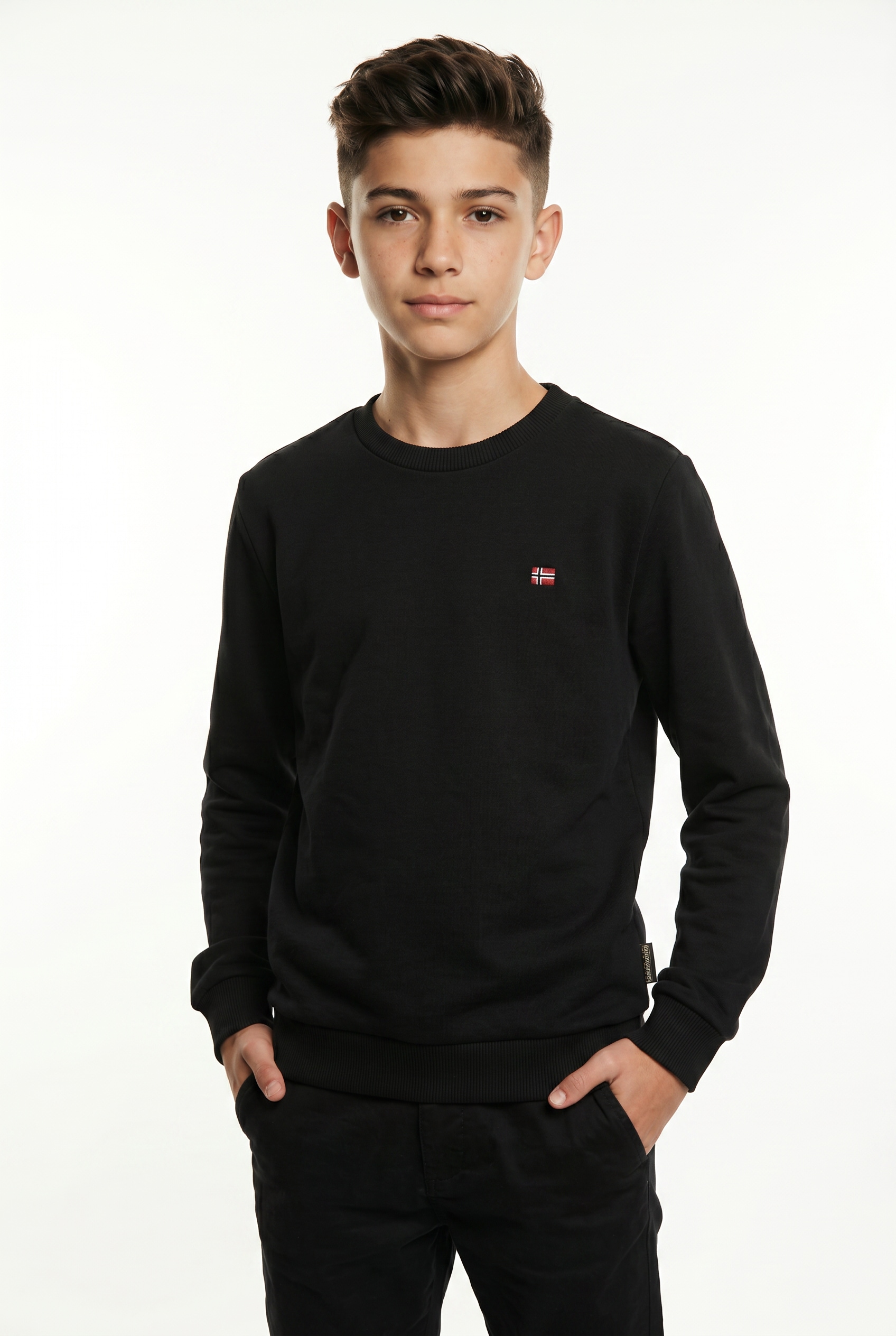 Image of Napapijri Sweatshirt, klassische Sweatshirt-Ausführung, aus Baumwolle und Polyester