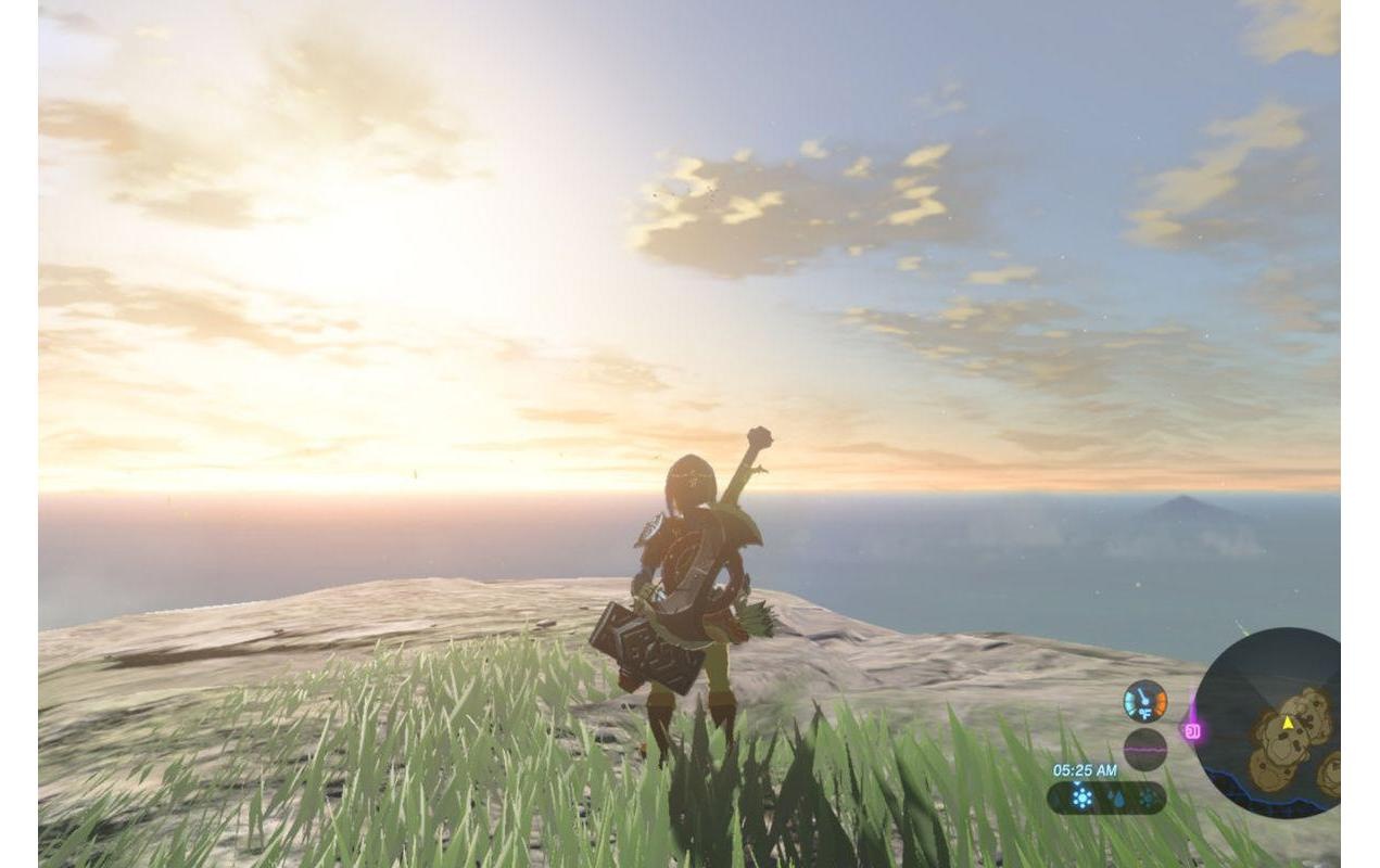 Nintendo Spielesoftware »The Legend of Zelda: Breath of the Wild«, Nintendo Switch, Collectors Edition