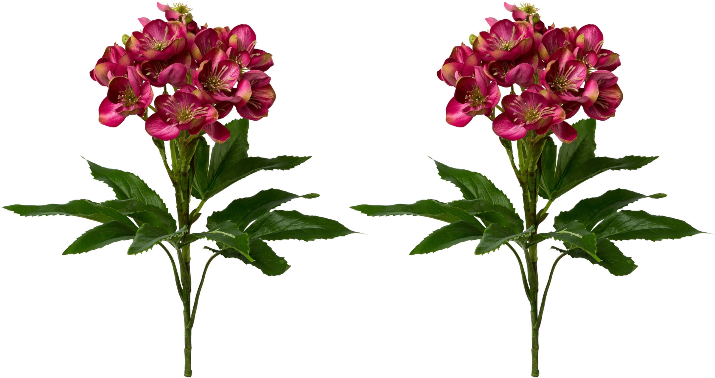 Image of Creativ green Kunstblume, (2 St., 2 Stück), üppiges Blüten- und Blattwerk bei Ackermann Versand Schweiz