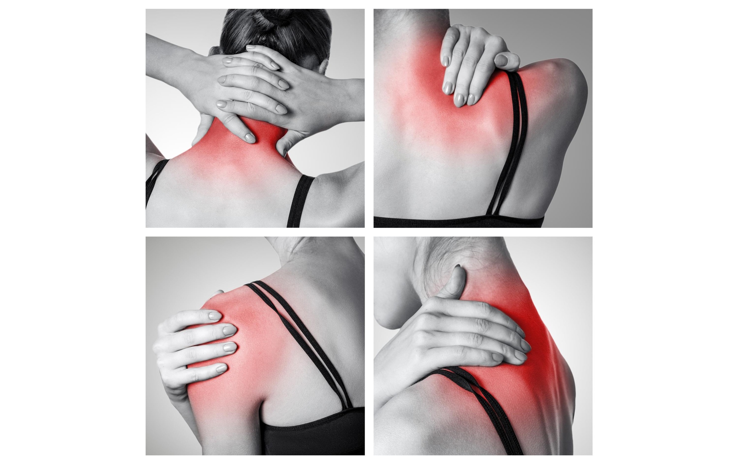 Bodi-Tek Pistolet de massage »Bodi-Tek Massage Pistole Tissue Spo«