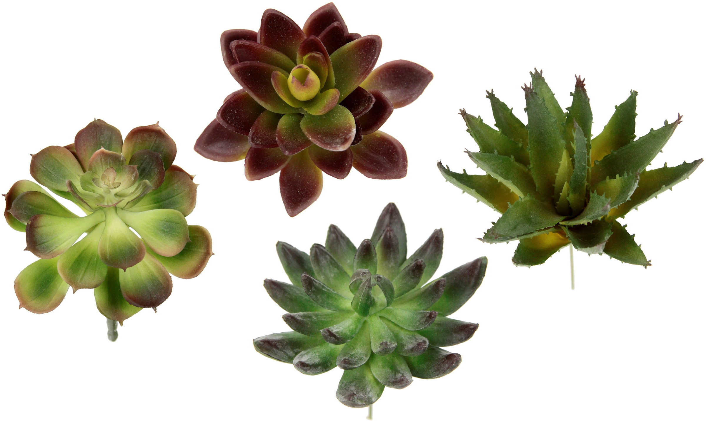 Kunstpflanze »Dekorative Sukkulenten«, 4er Set, künstliche Pflanzen, Sukkulenten,...