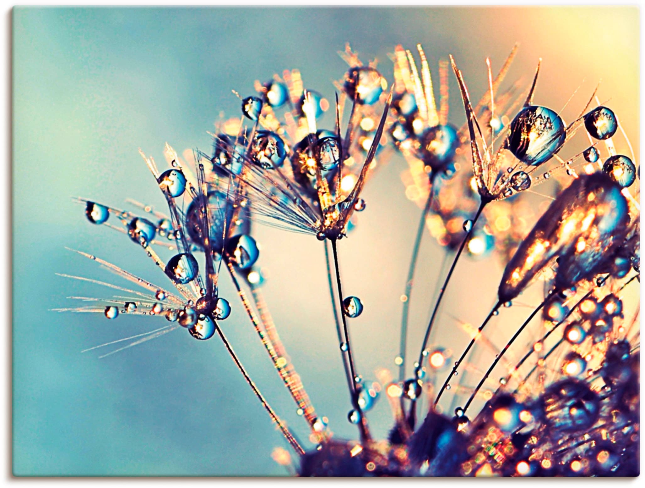 Image of Artland Wandbild "Pusteblume Glitzertau" Blumen 1 Stk. tlg. als Leinwandbild, Poster in verschied. Grössen