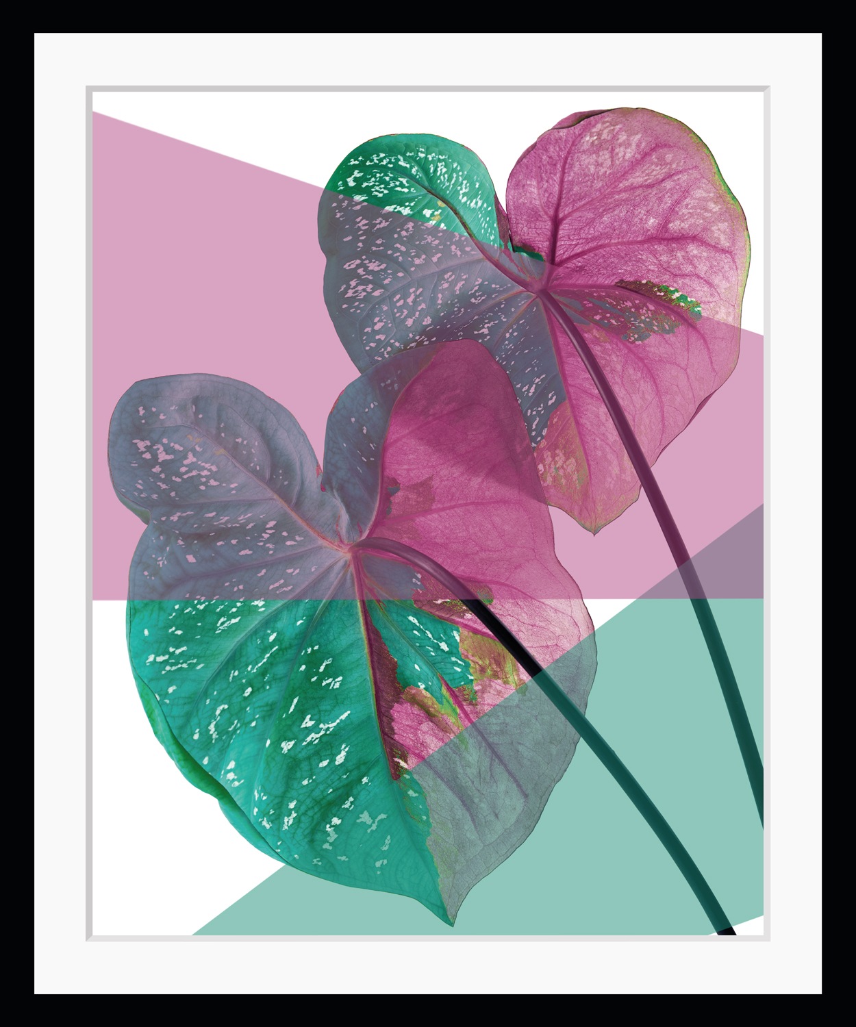 Image of queence Bild "Vicky" Blätter Kunst Pflanzen Pflanzenbilder HD Premium Poster-Druck inkl. Holzrahmen
