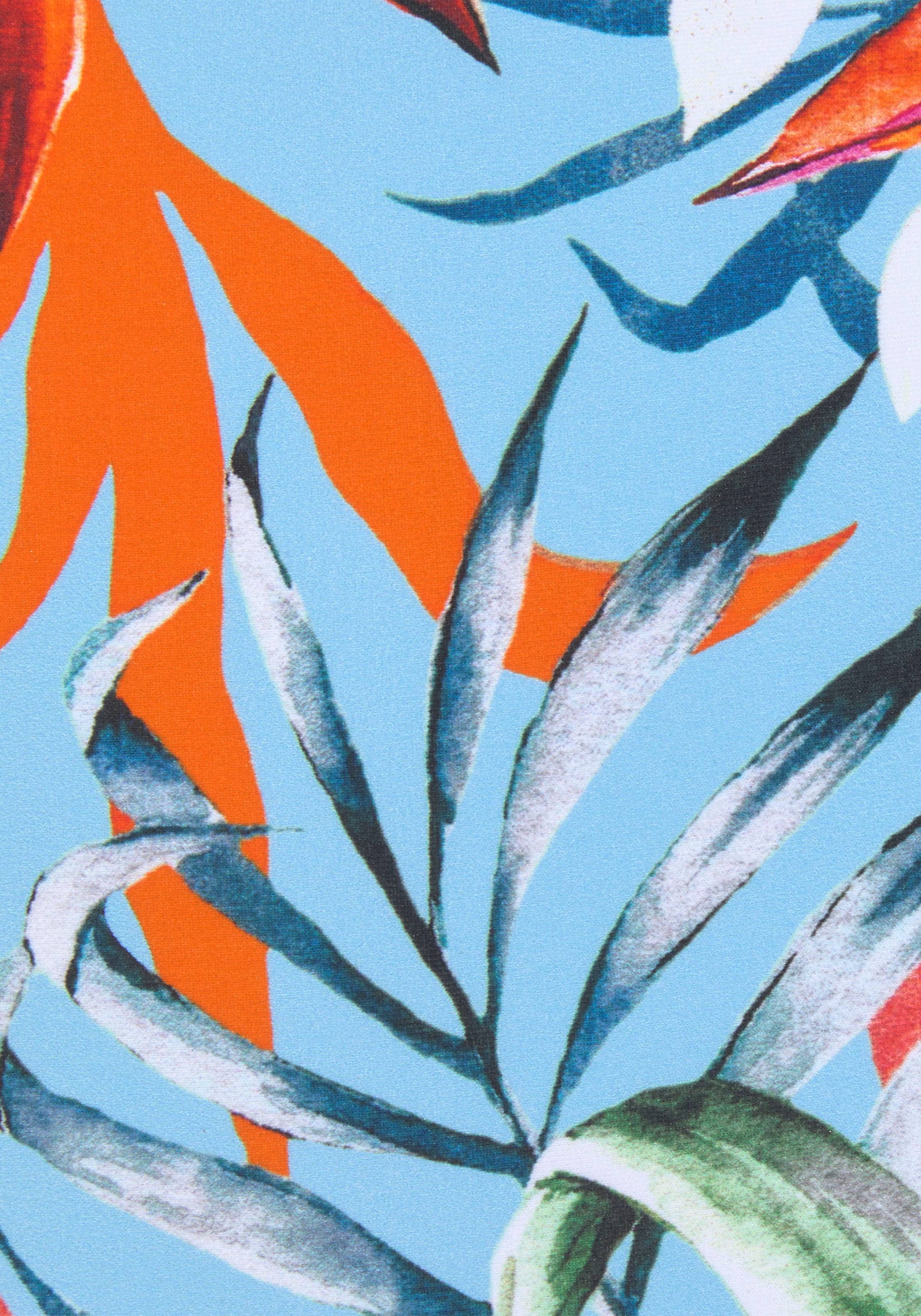 Venice Beach Bikini-Hose »Caru« mit Allover-Print