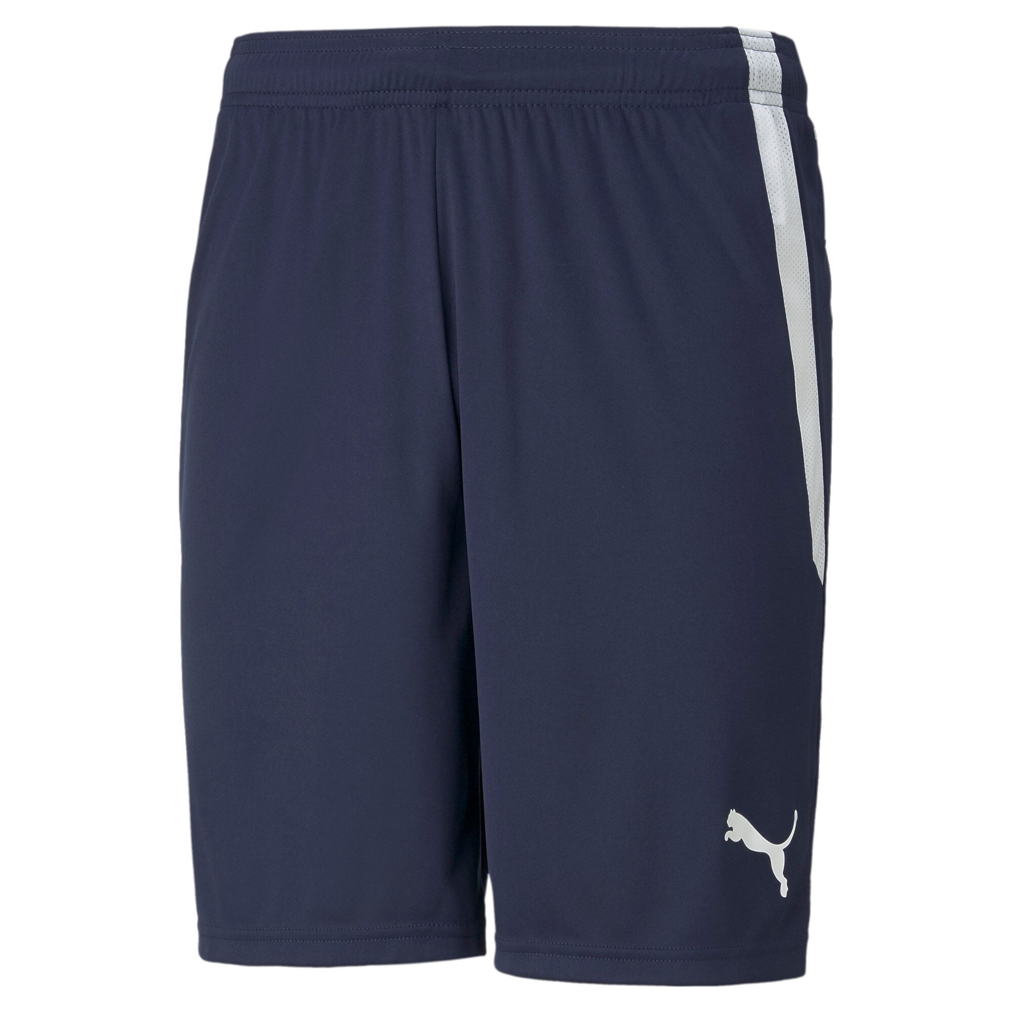 Image of PUMA Trainingsshorts "TEAMLIGA SHORTS" atmungsaktiv, mit DryCELL Technologie