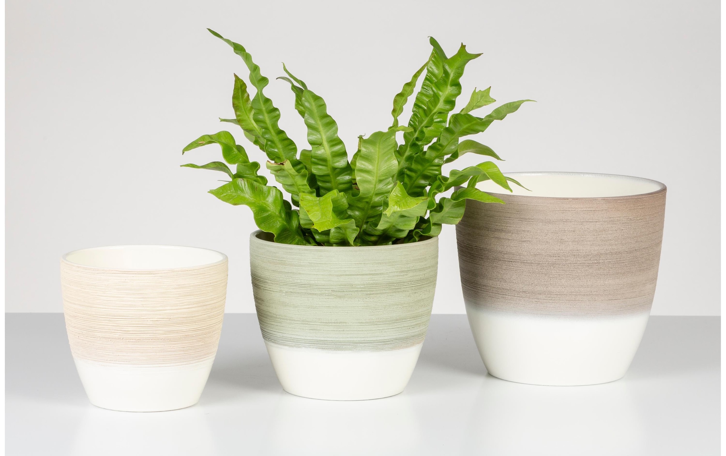Scheurich Blumentopf »Matcha Cream 950 19 cm«