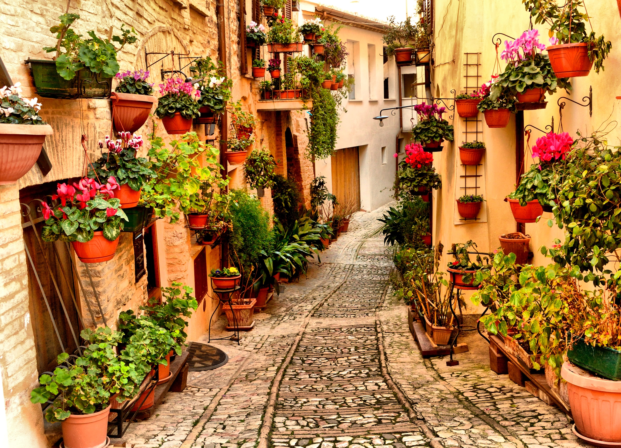 Image of Papermoon Fototapete "Alley in Spello Umbria" glatt