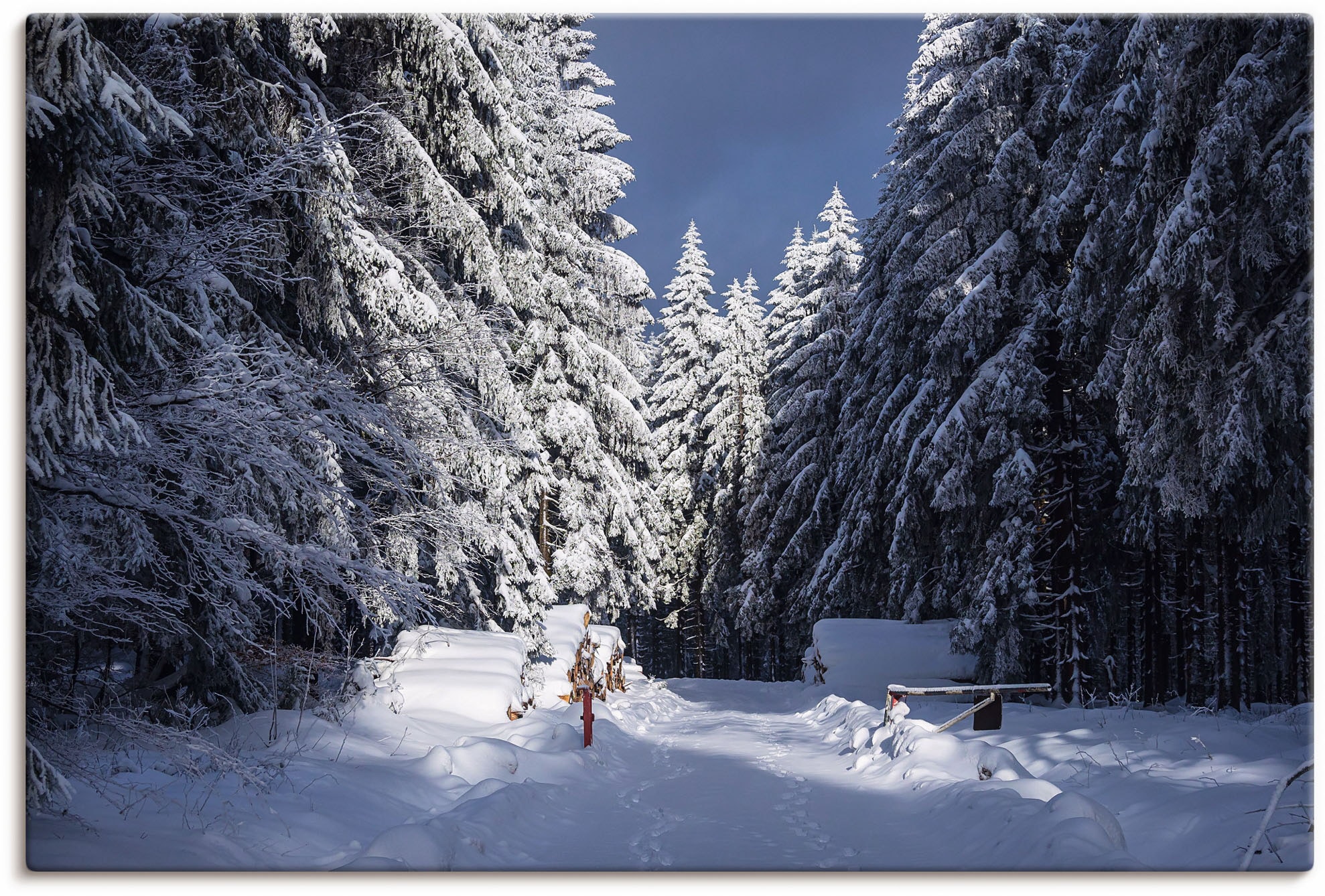 Image of Artland Leinwandbild "Winter im Thüringer Wald II" Waldbilder 1 Stk. tlg. auf Holzrahmen gespannt