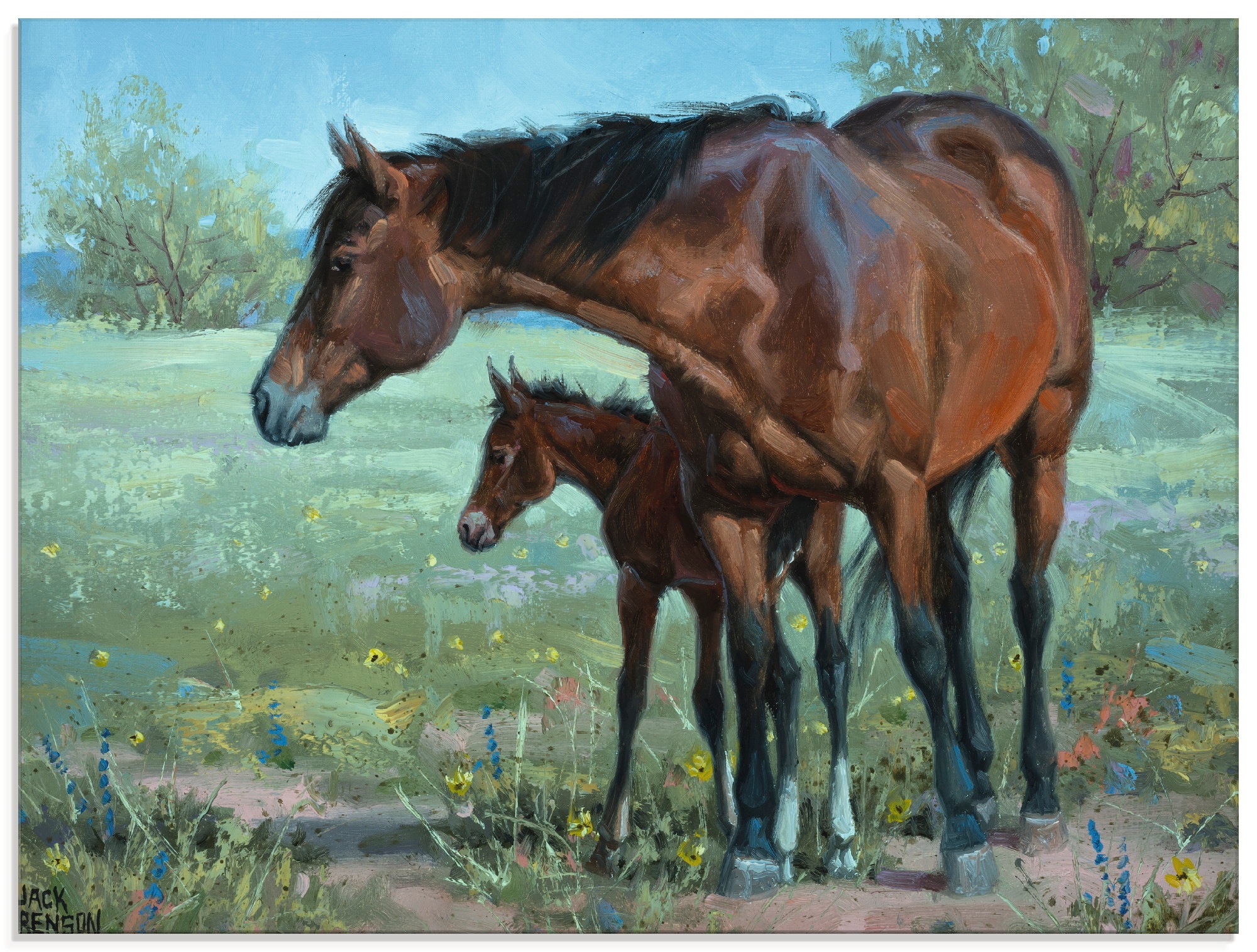 Image of Artland Glasbild »Wachsames Auge«, Haustiere, (1 St.) bei Ackermann Versand Schweiz