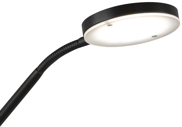 FHL easy! LED kaufen jetzt »Fabi«, 2 CCT Steuerung Stehlampe flammig-flammig, Dimmbar