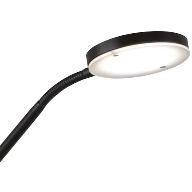FHL easy! LED Stehlampe »Fabi«, 2 flammig-flammig, Dimmbar, CCT Steuerung  jetzt kaufen