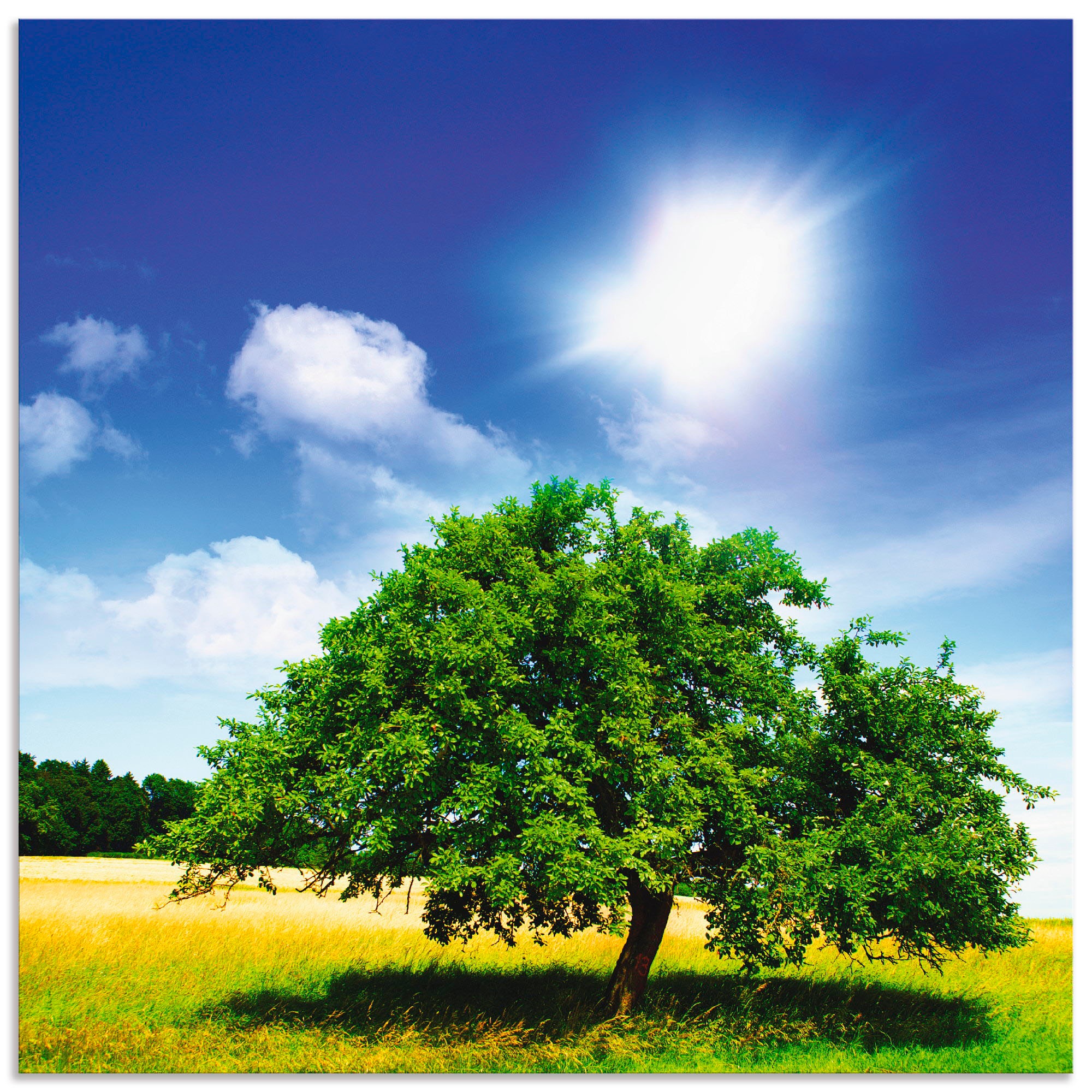 Image of Artland Wandbild »Baum des Lebens«, Bäume, (1 St.), in vielen Grössen & Produktarten - Alubild / Outdoorbild für den Aussenbereich, Leinwandbild, Poster, Wandaufkleber / Wandtattoo auch für Badezimmer geeignet bei Ackermann Versand Schweiz