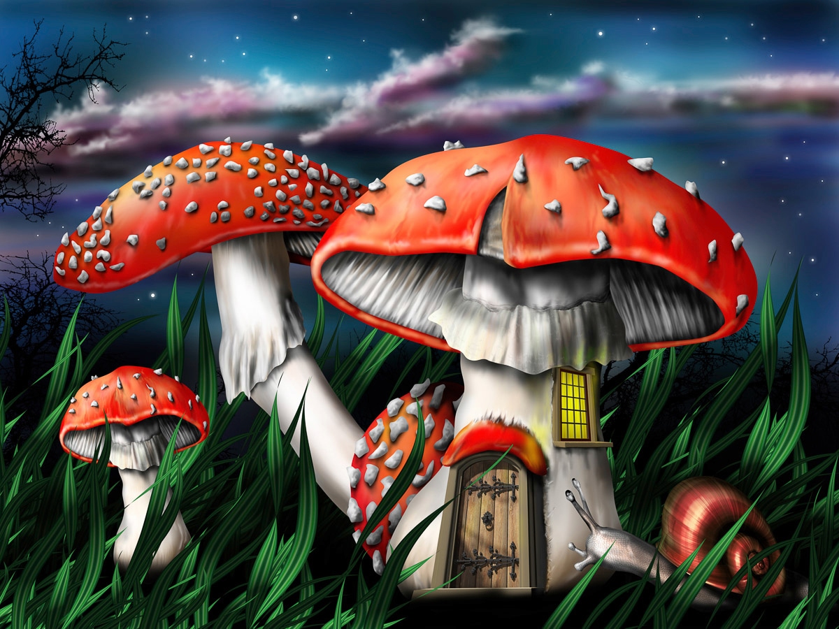 Image of Papermoon Fototapete "Zauberpilze"