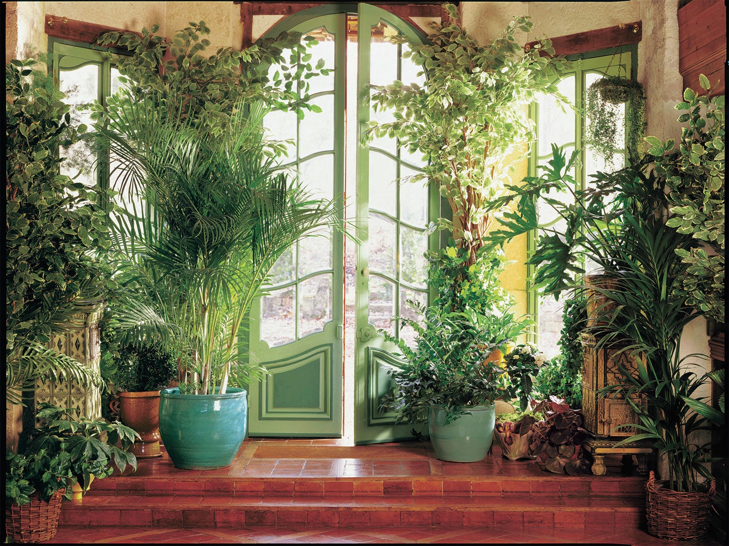 Image of Papermoon Fototapete »Larit Jardin« bei Ackermann Versand Schweiz