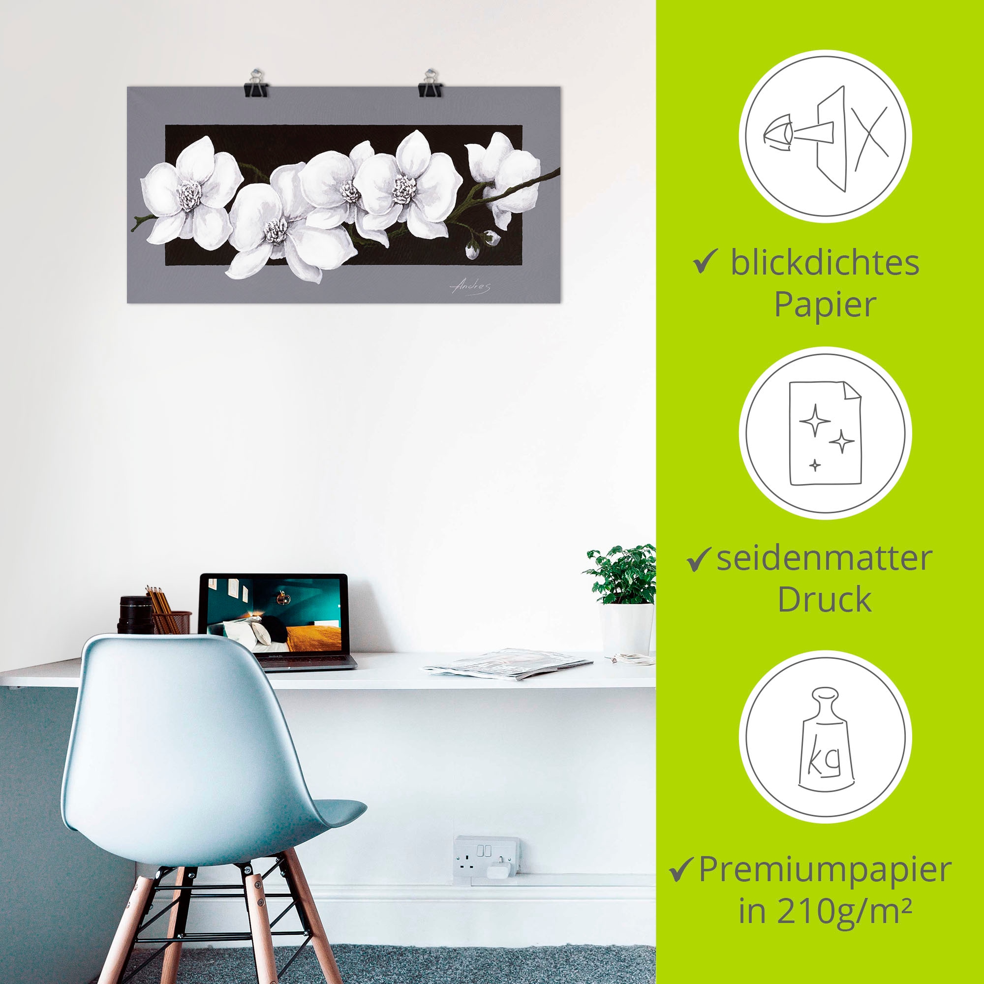 Artland Wandbild »Weisse Orchideen auf grau« Blumen 1 Stk. tlg. als Alubild, Leinwandbild, Poster in verschied. Grössen