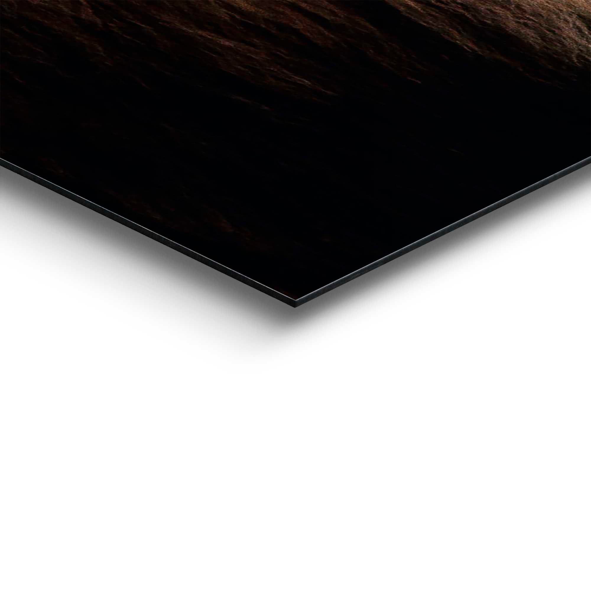 Reinders! Panneau déco »Löwe«