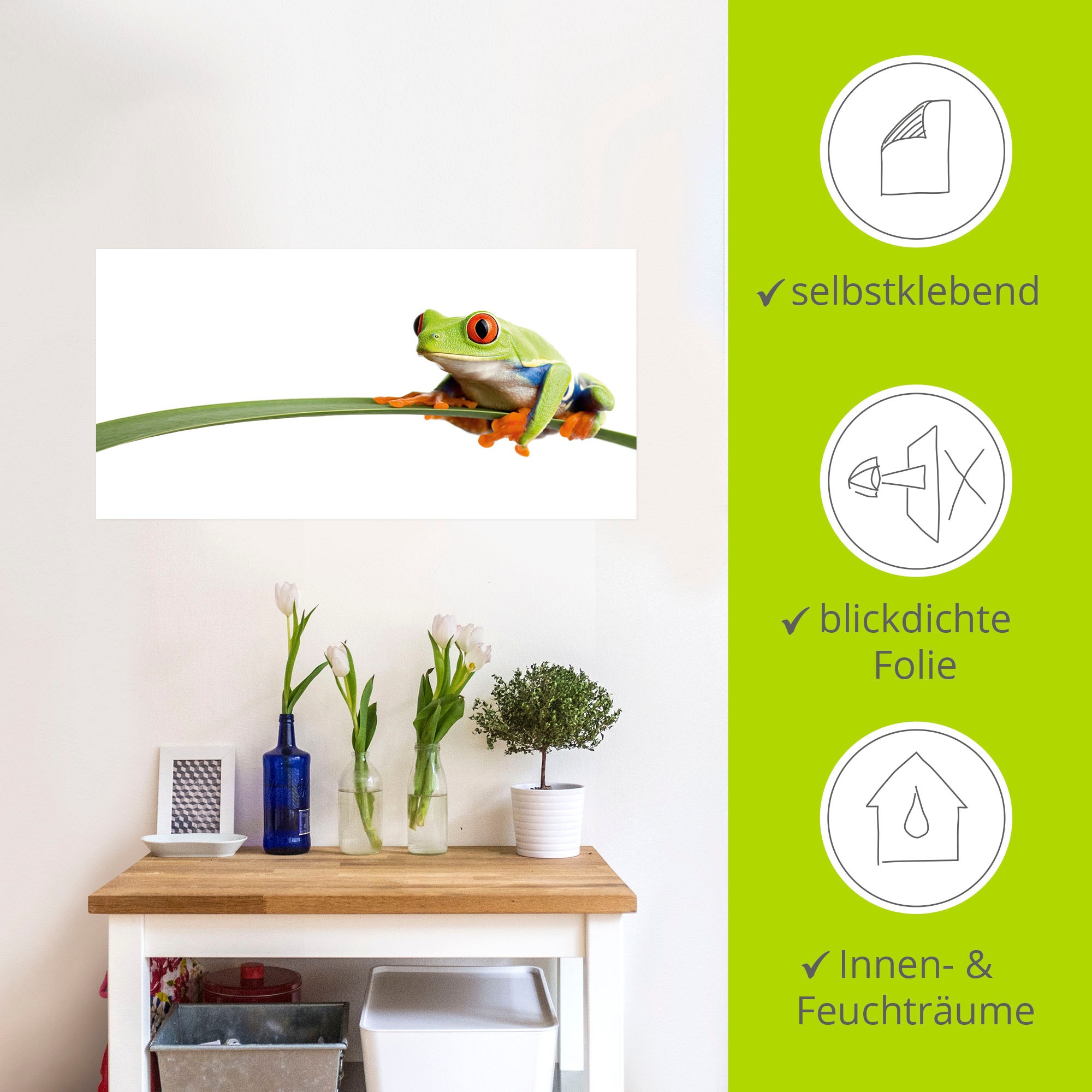 Artland Wandbild »Frosch auf einem Blatt«, Wassertiere, (1 St.), als Alubild, Outdoorbild, Leinwandbild, Poster, Wandaufkleber