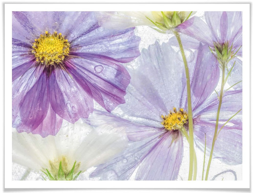 »Florale Lila Blumen Wandbild, Kunst«, Blau Poster, Bild, kaufen Poster Wall-Art Blumen, (1 Wandposter St.),