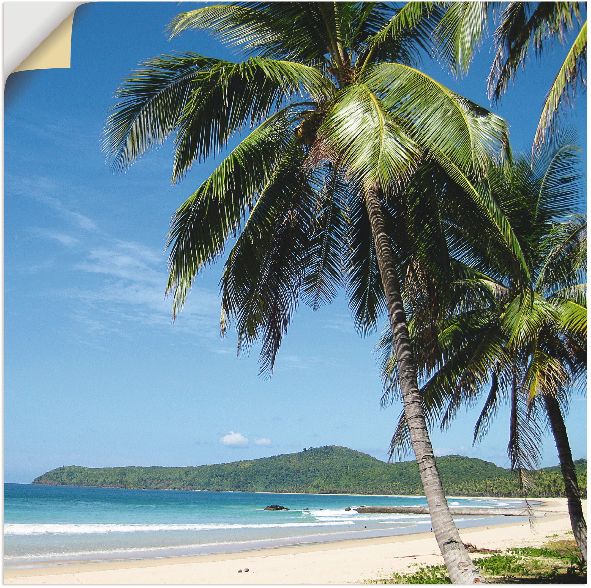 Image of Artland Wandbild »Strand mit Palmen«, Strandbilder, (1 St.), in vielen Grössen & Produktarten - Alubild / Outdoorbild für den Aussenbereich, Leinwandbild, Poster, Wandaufkleber / Wandtattoo auch für Badezimmer geeignet bei Ackermann Versand Schweiz