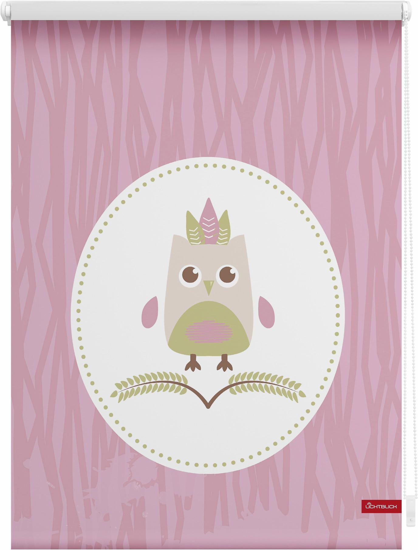 Image of LICHTBLICK ORIGINAL Seitenzugrollo »Klemmfix Motiv Eule Sweety«, Lichtschutz, ohne Bohren, freihängend, bedruckt bei Ackermann Versand Schweiz