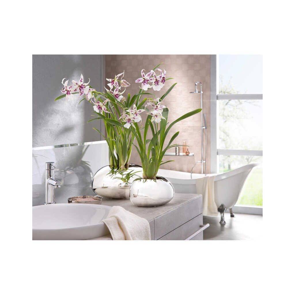 Scheurich Blumentopf »Orchideengefäss«