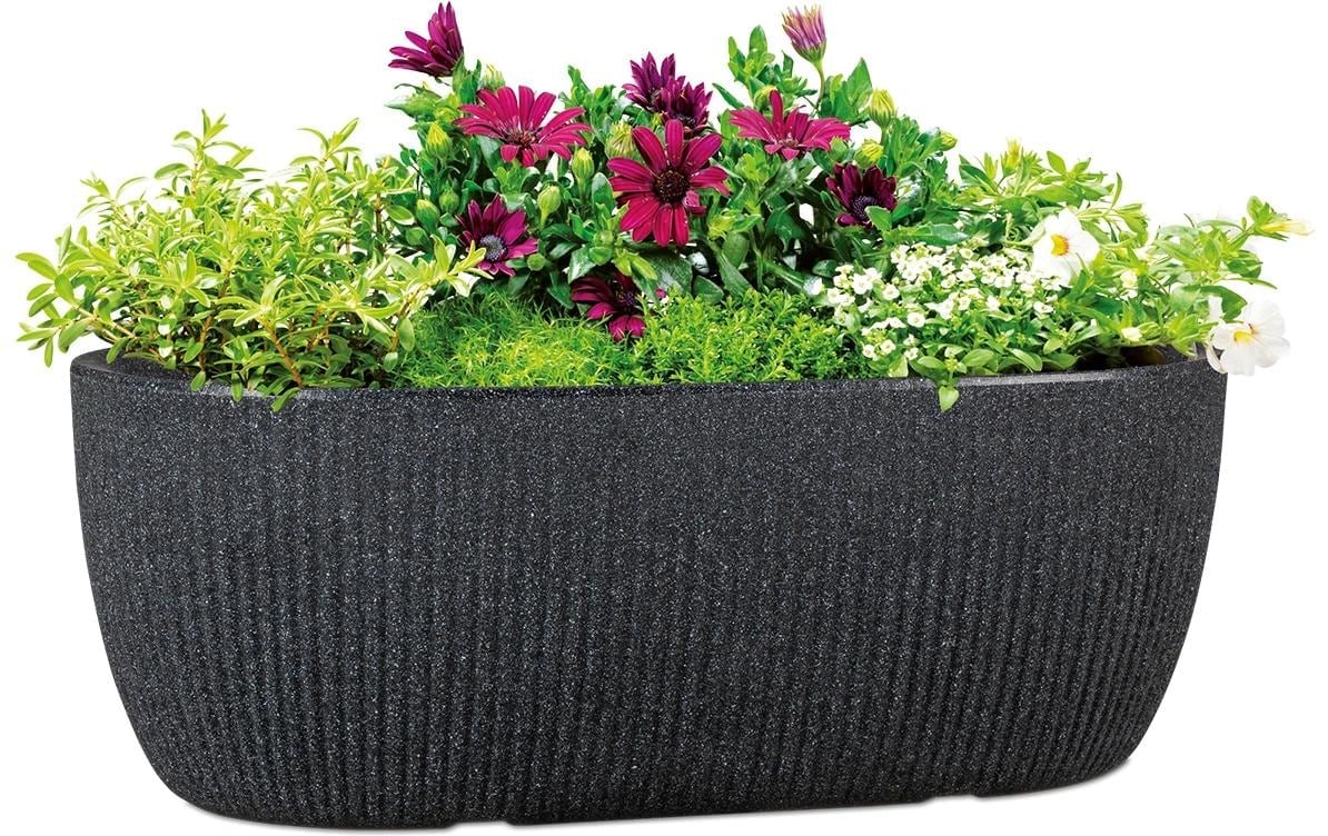 Scheurich Jardinière »46/274 LINETTO JARDI« Pflanzschale aus Kunststoff, BxTxH: 46x46x17,1 cm