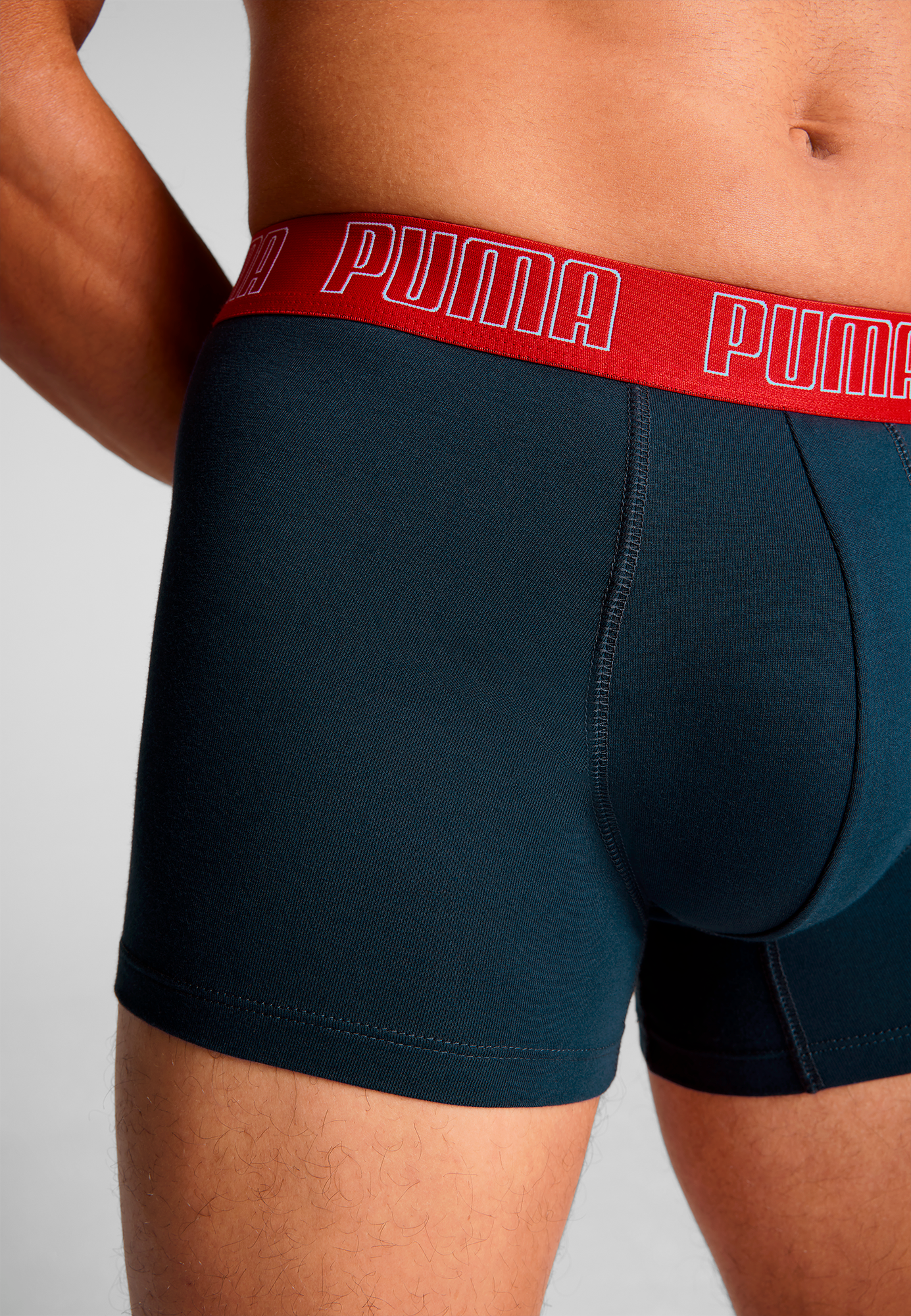 PUMA Tronc »PUMA MEN EVERYDAY TRUNKS 2P« 2er Pack,  mit Logobund