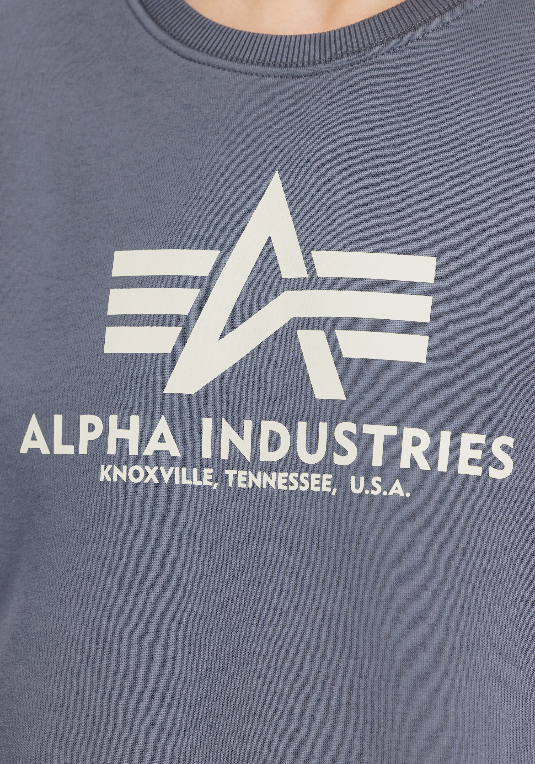 Alpha Industries Sweatshirt »Basic Sweater«