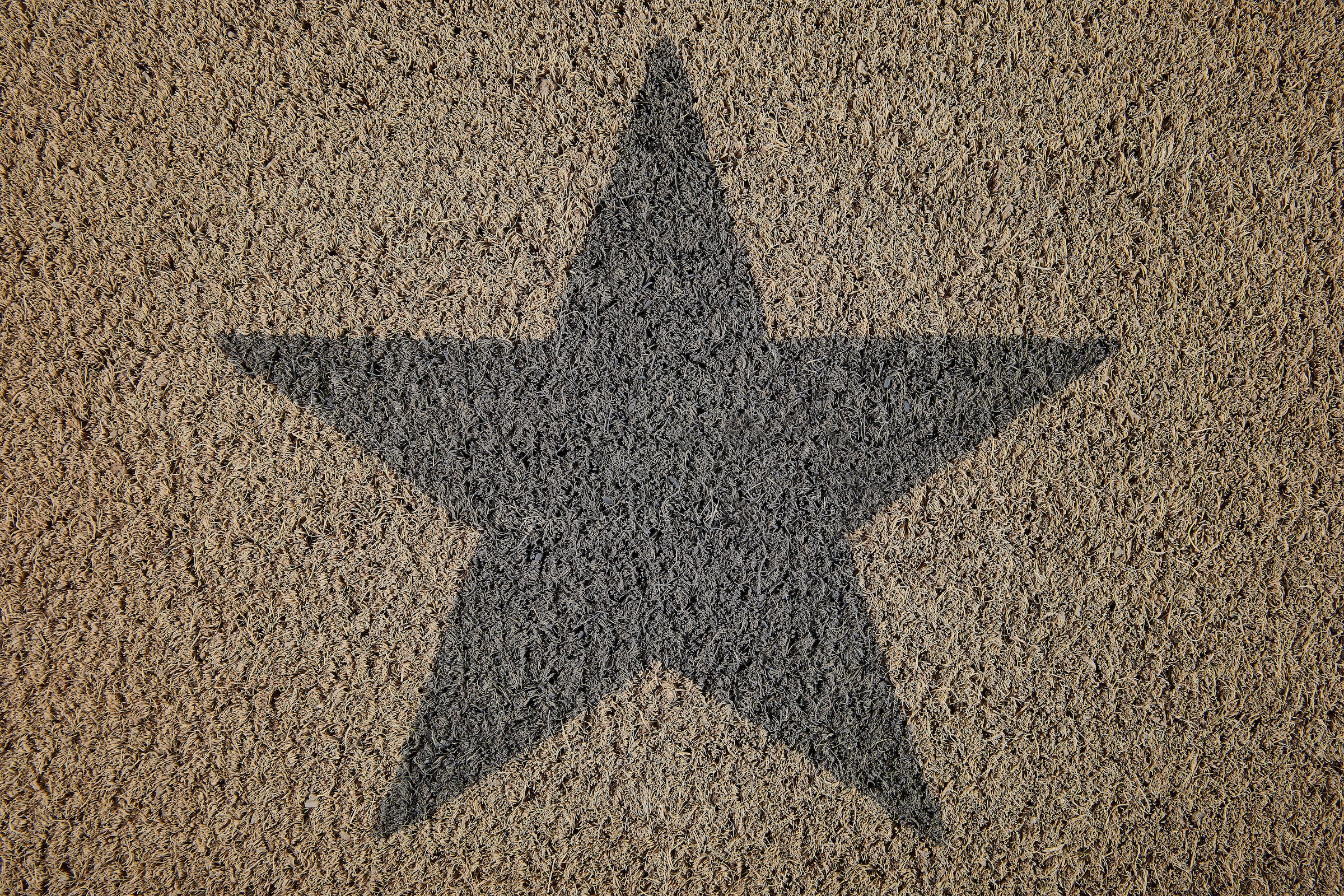 Fussmatte Star«, geeignet Sterne, In- auf versandkostenfrei Schmutzfangmatte, ♕ rechteckig, Andiamo Motiv Outdoor »Kokos und