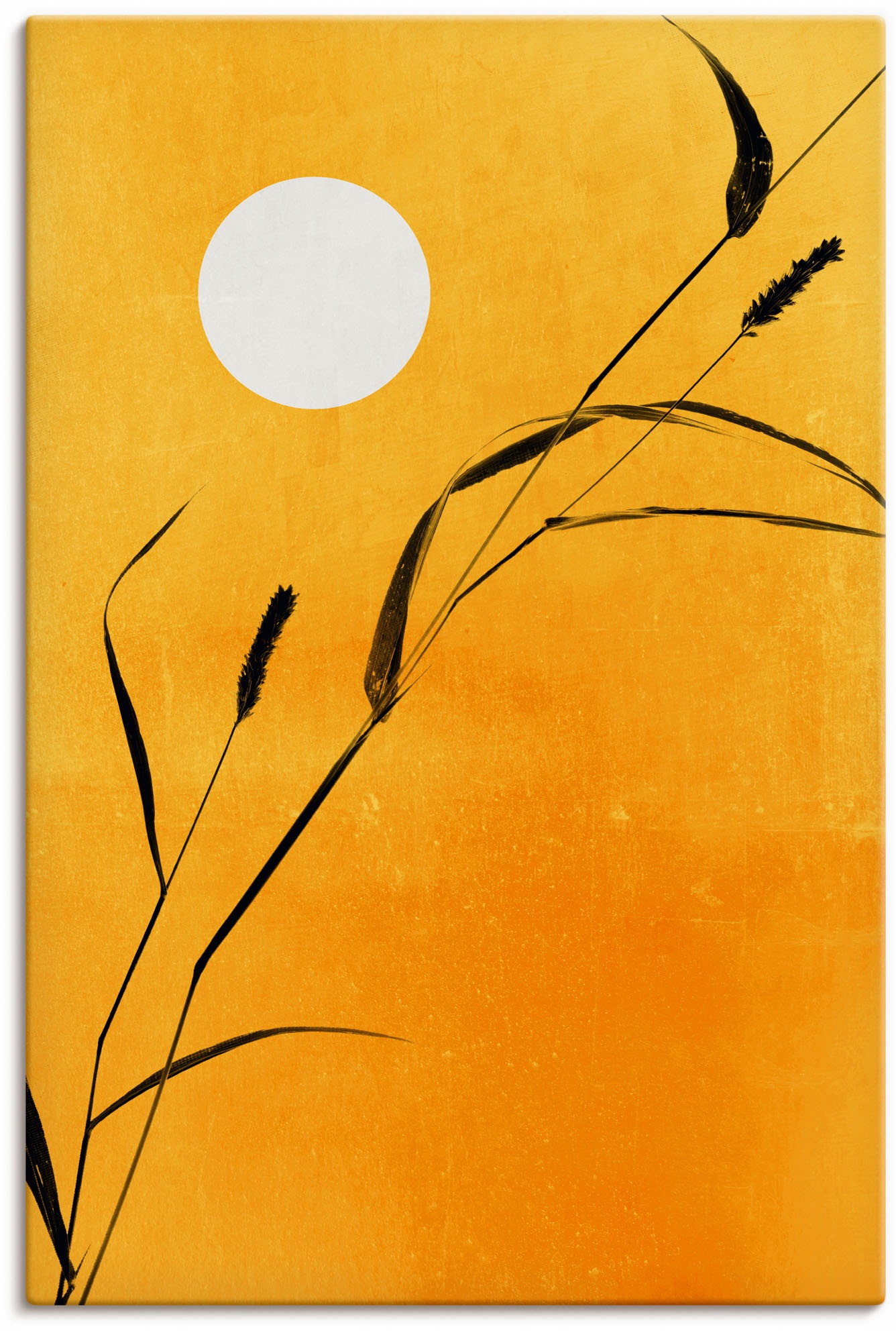 Image of Artland Leinwandbild "Sonniger Tag" Pflanzenbilder 1 Stk. tlg. auf Holzrahmen gespannt