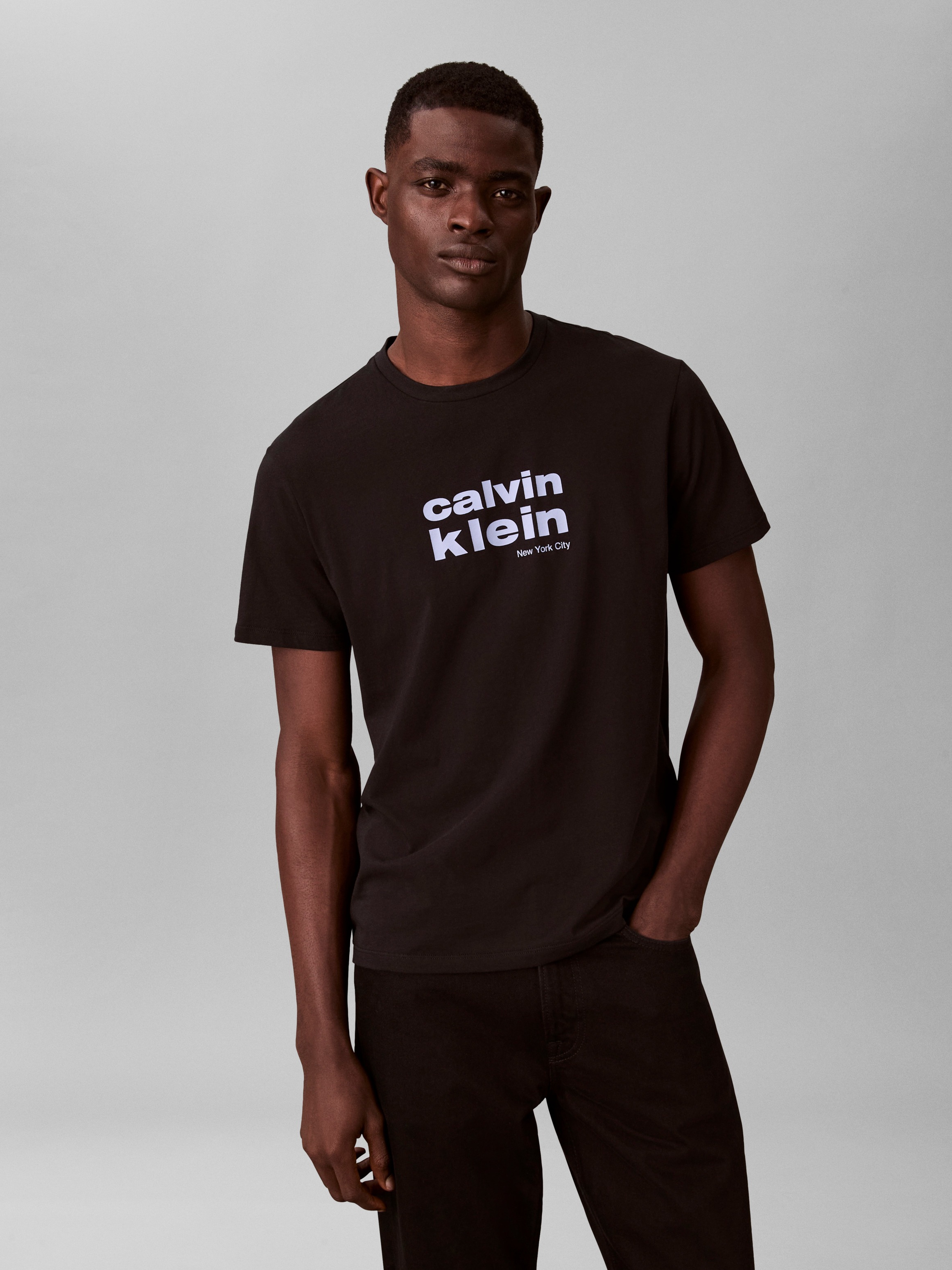 Image of Calvin Klein T-Shirt Rundhalsausschnitt, Regular Fit, Logodruck