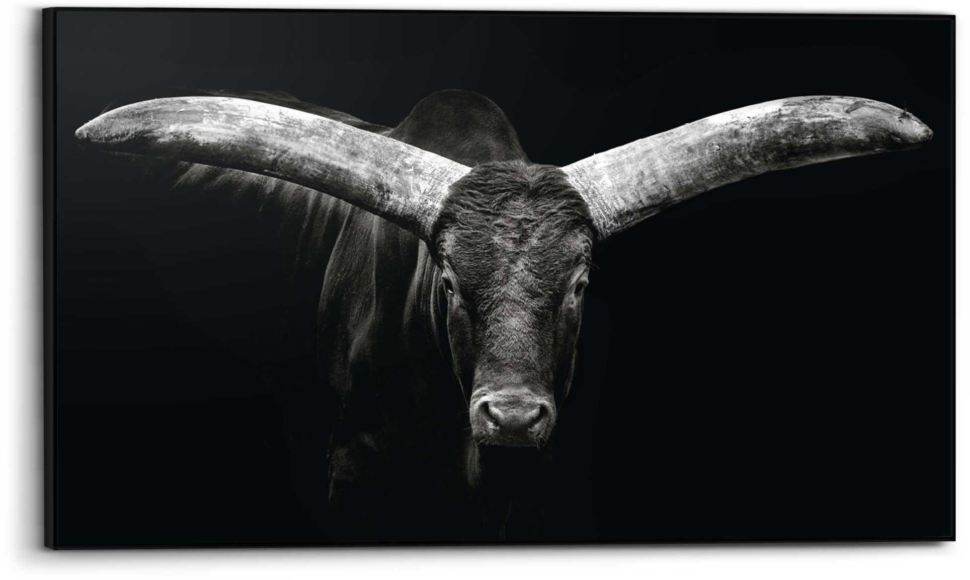 Reinders! Wandbild »Ochse«