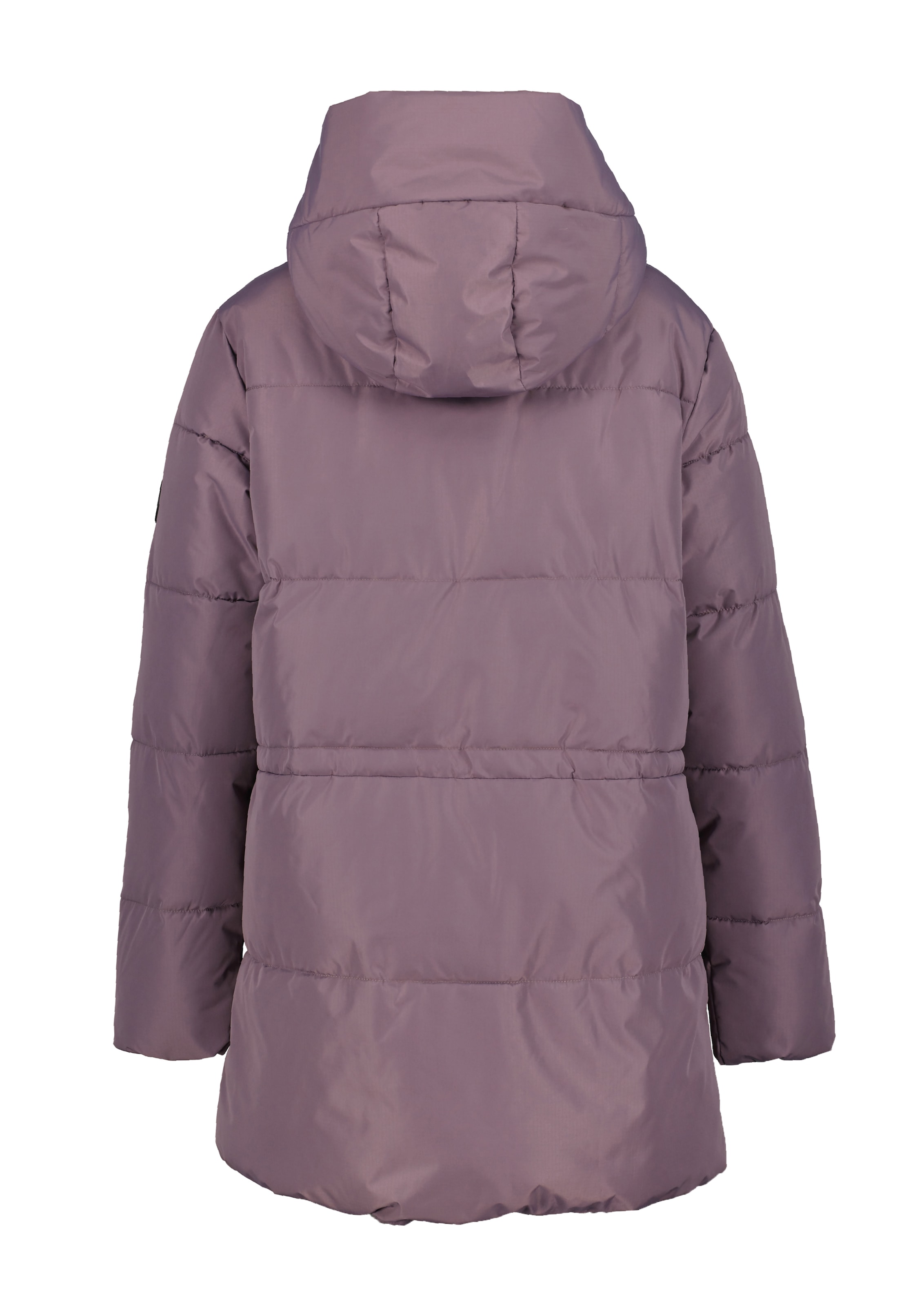 Icepeak Steppjacke »D STEPPJACKE ADRIAL«, mit Kapuze, Wasserabweisend & Wasserdicht & Winddicht