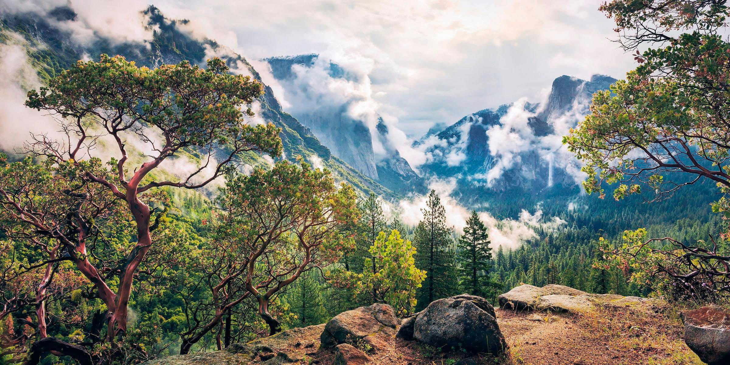 Image of Komar Vliestapete »Unique Paradise«, naturalistisch bei Ackermann Versand Schweiz