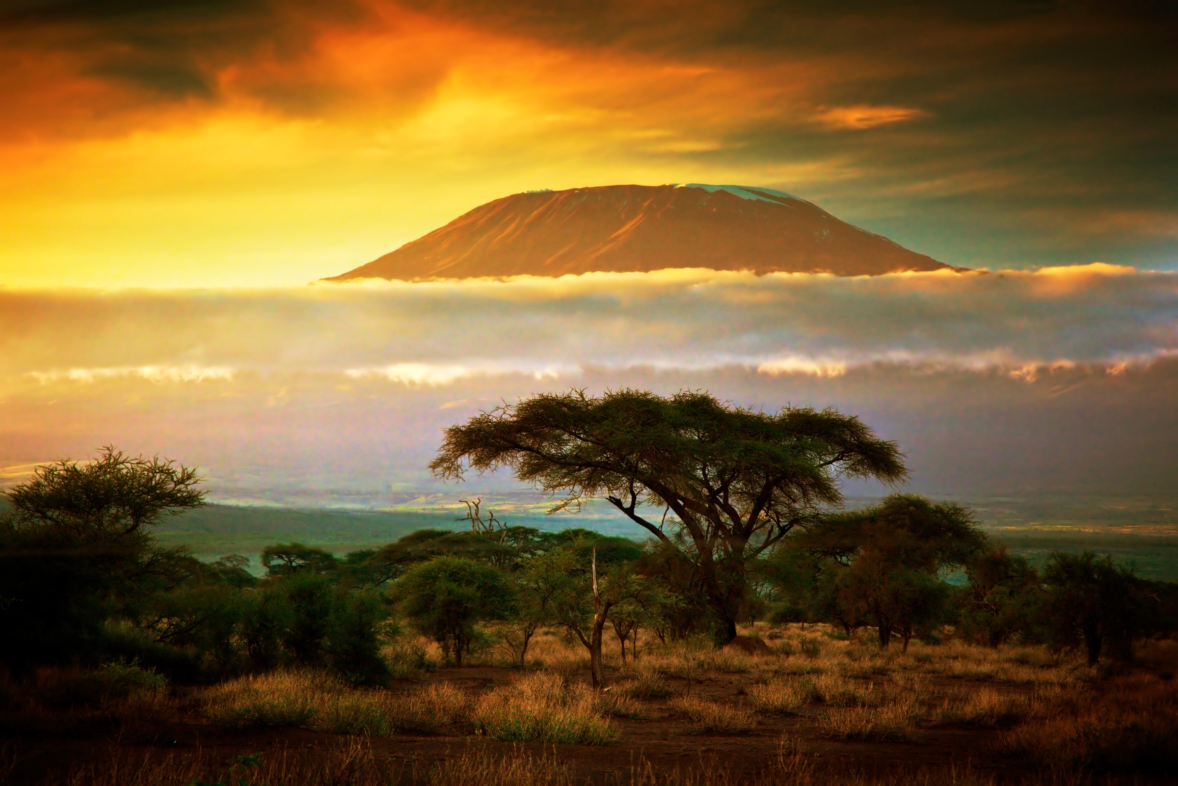 Image of Papermoon Fototapete »Mount Kilimanjaro and Clouds«, matt, BlueBack, 7 Bahnen, 350 x 260 cm bei Ackermann Versand Schweiz