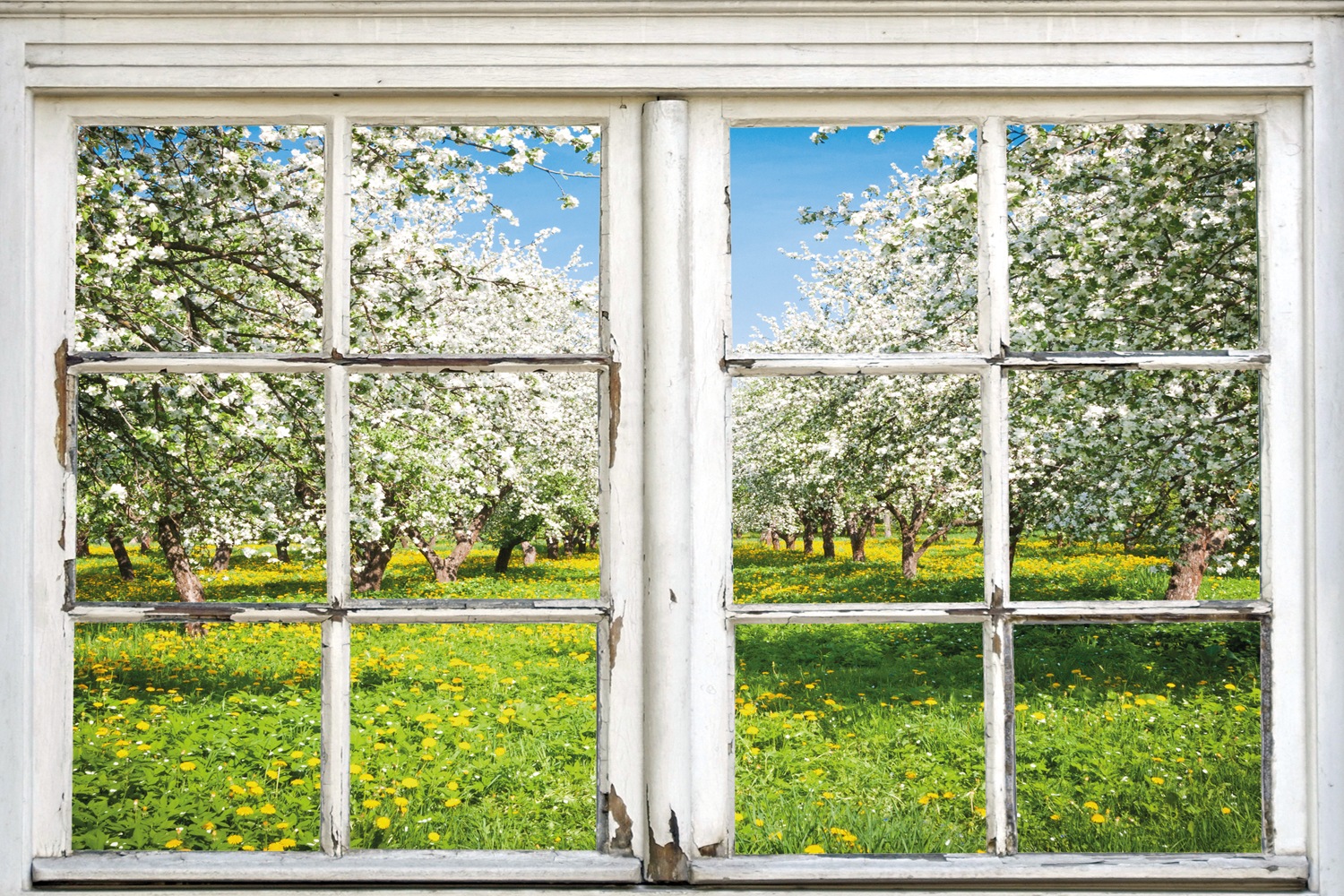 Image of queence Leinwandbild "Apfelbäume" Bäume Fensterblick Natur Wiesen & Bäume 1 Stk. tlg. Premium-Leinwandstoff