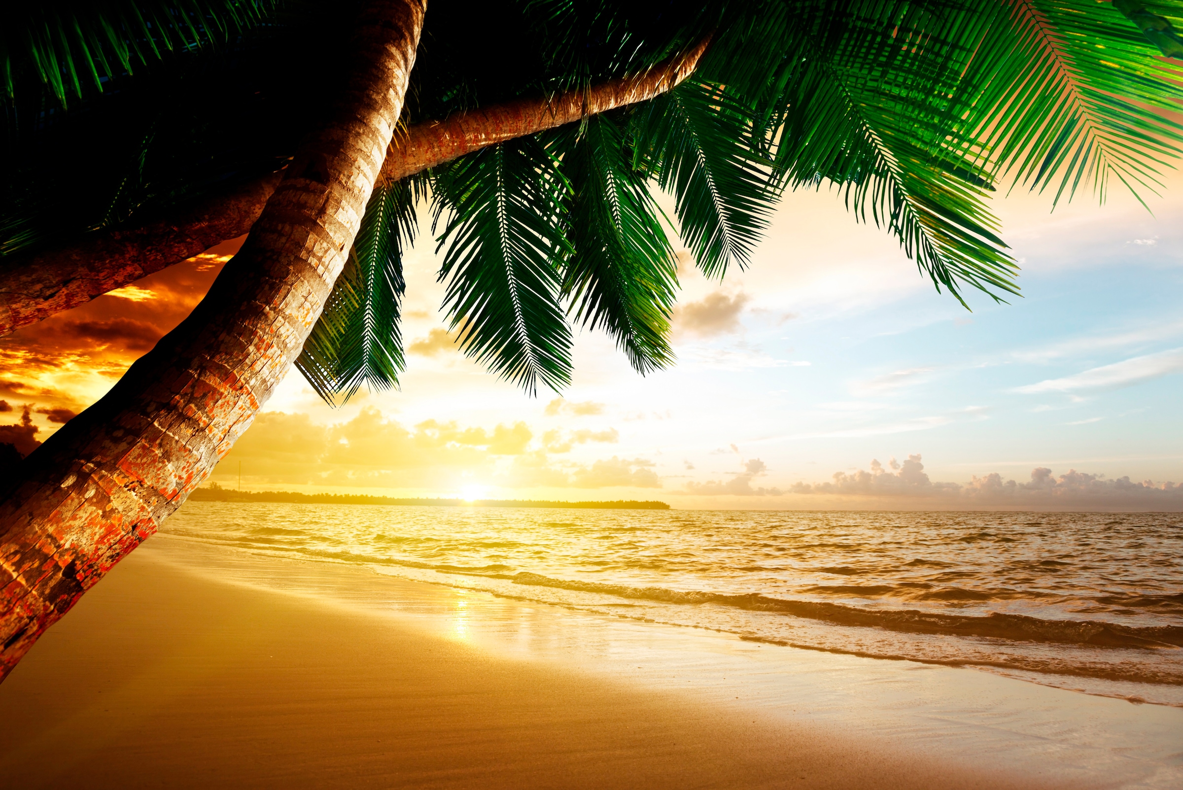 Image of Papermoon Fototapete "Caribbean Beach Sunrise" glatt