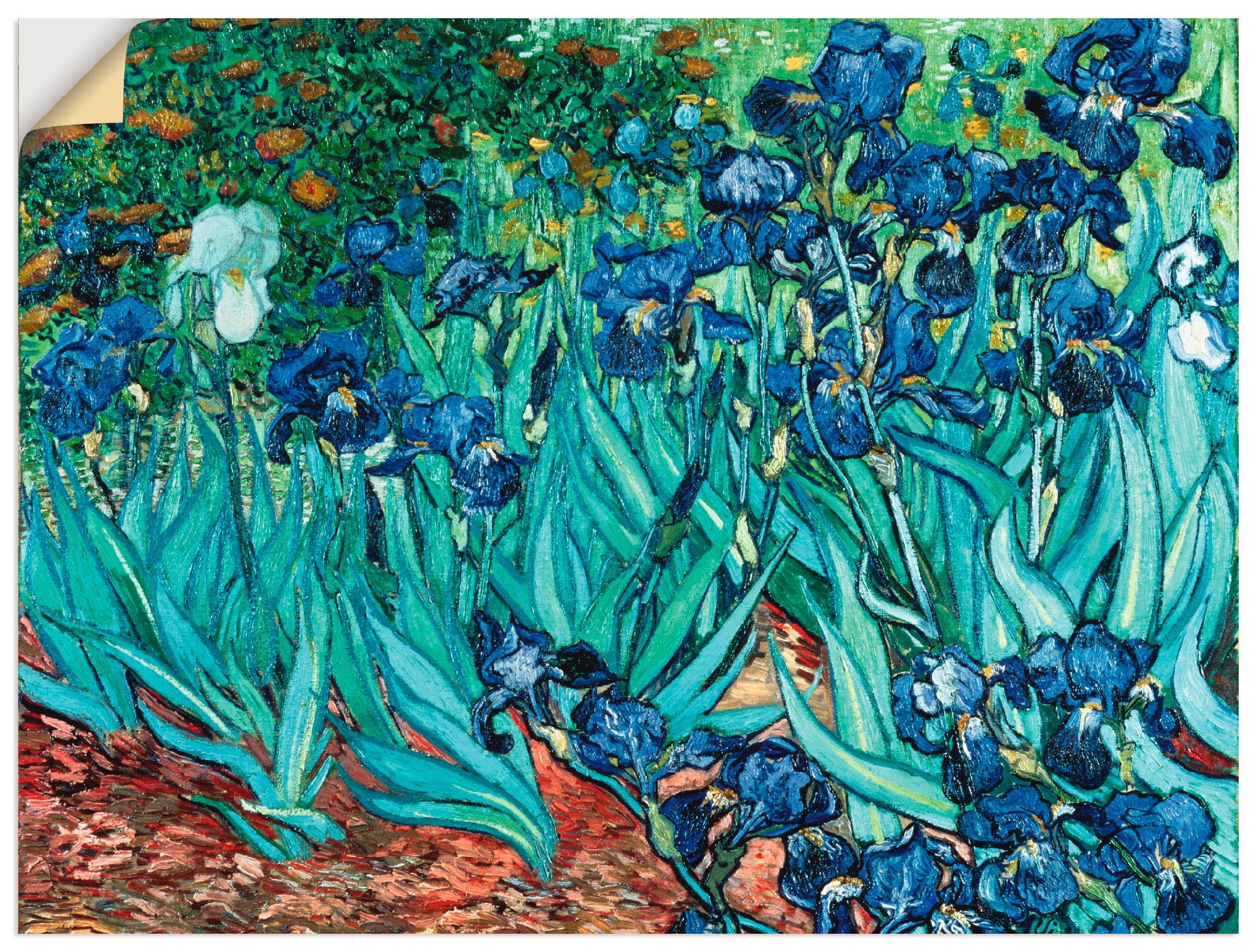 Image of Artland Wandbild »Iris (Schwertlilien). 1889«, Blumen, (1 St.), in vielen Grössen & Produktarten -Leinwandbild, Poster, Wandaufkleber / Wandtattoo auch für Badezimmer geeignet bei Ackermann Versand Schweiz