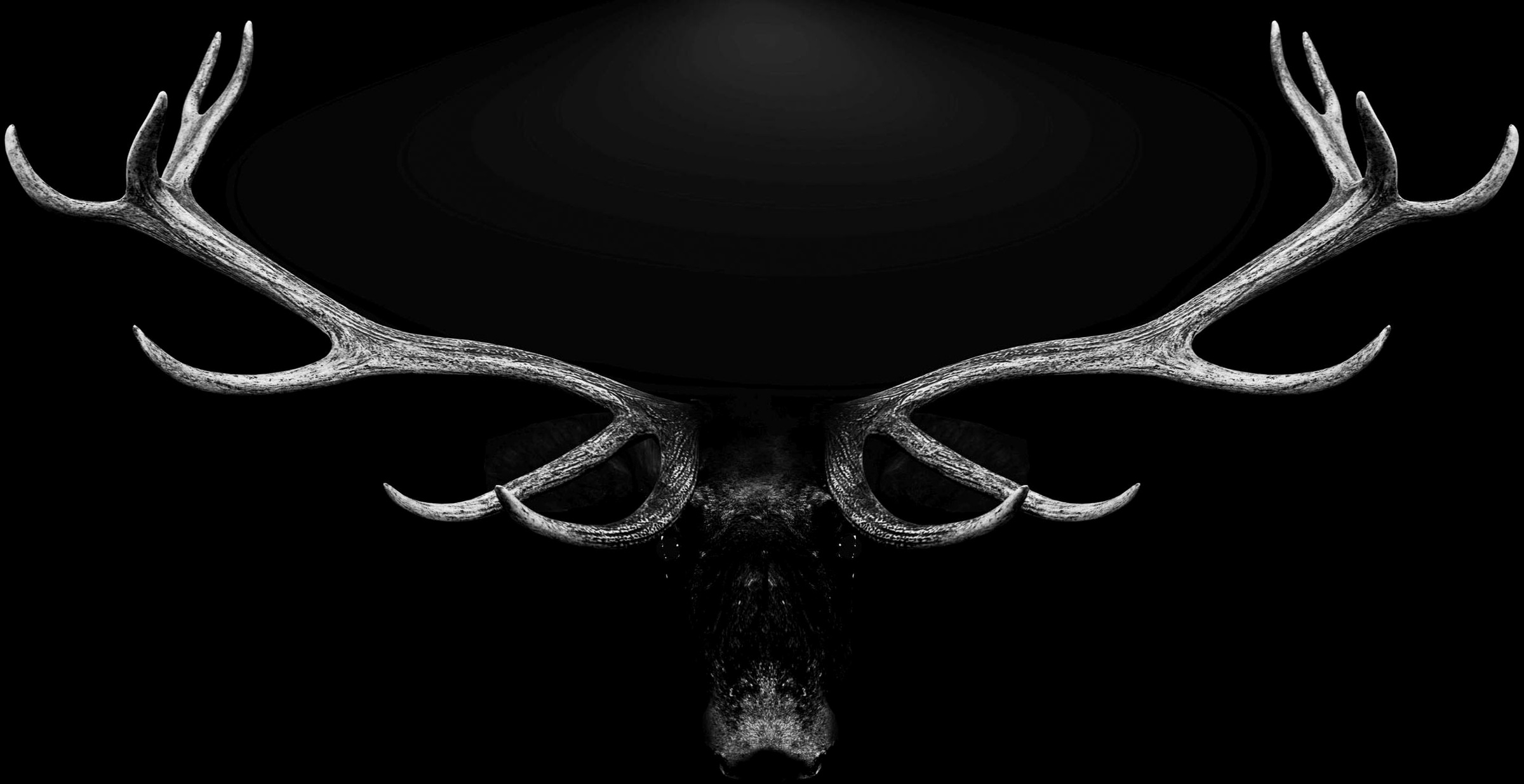 Image of Spiegelprofi GmbH Deco-Panel »Deer antlers«, Hirsch-Hirschbilder, (1 St.), hochwertiger Kunstdruck bei Ackermann Versand Schweiz