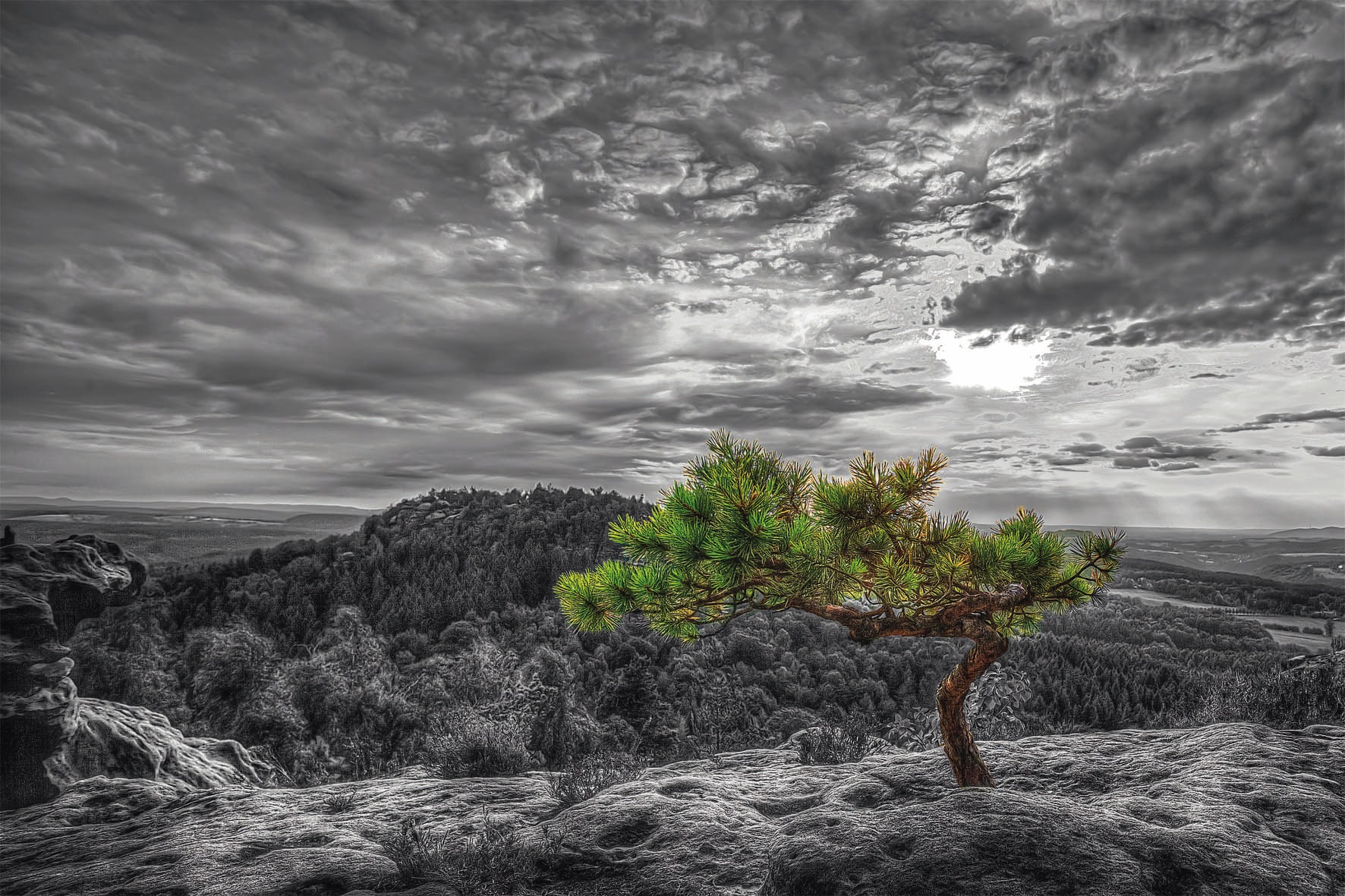 Image of Bönninghoff Glasbild »grauer Himmel«, (1 St.) bei Ackermann Versand Schweiz