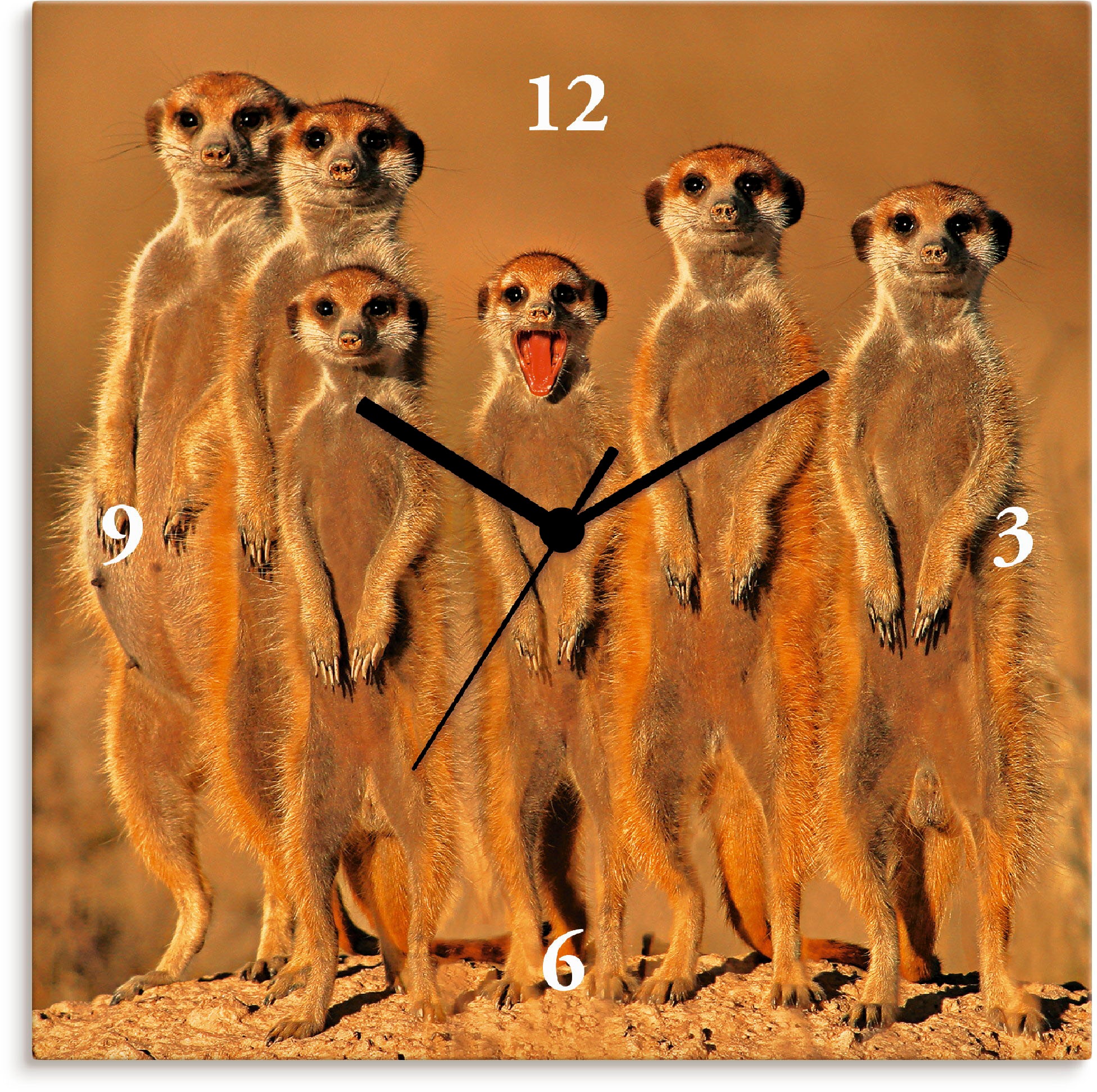 Image of Artland Wanduhr »Erdmännchen Familie«, lautlos, ohne Tickgeräusche, nicht tickend, geräuschlos - wählbar: Funkuhr o. Quarzuhr, moderne Uhr für Wohnzimmer, Küche etc. - Stil: modern bei Ackermann Versand Schweiz