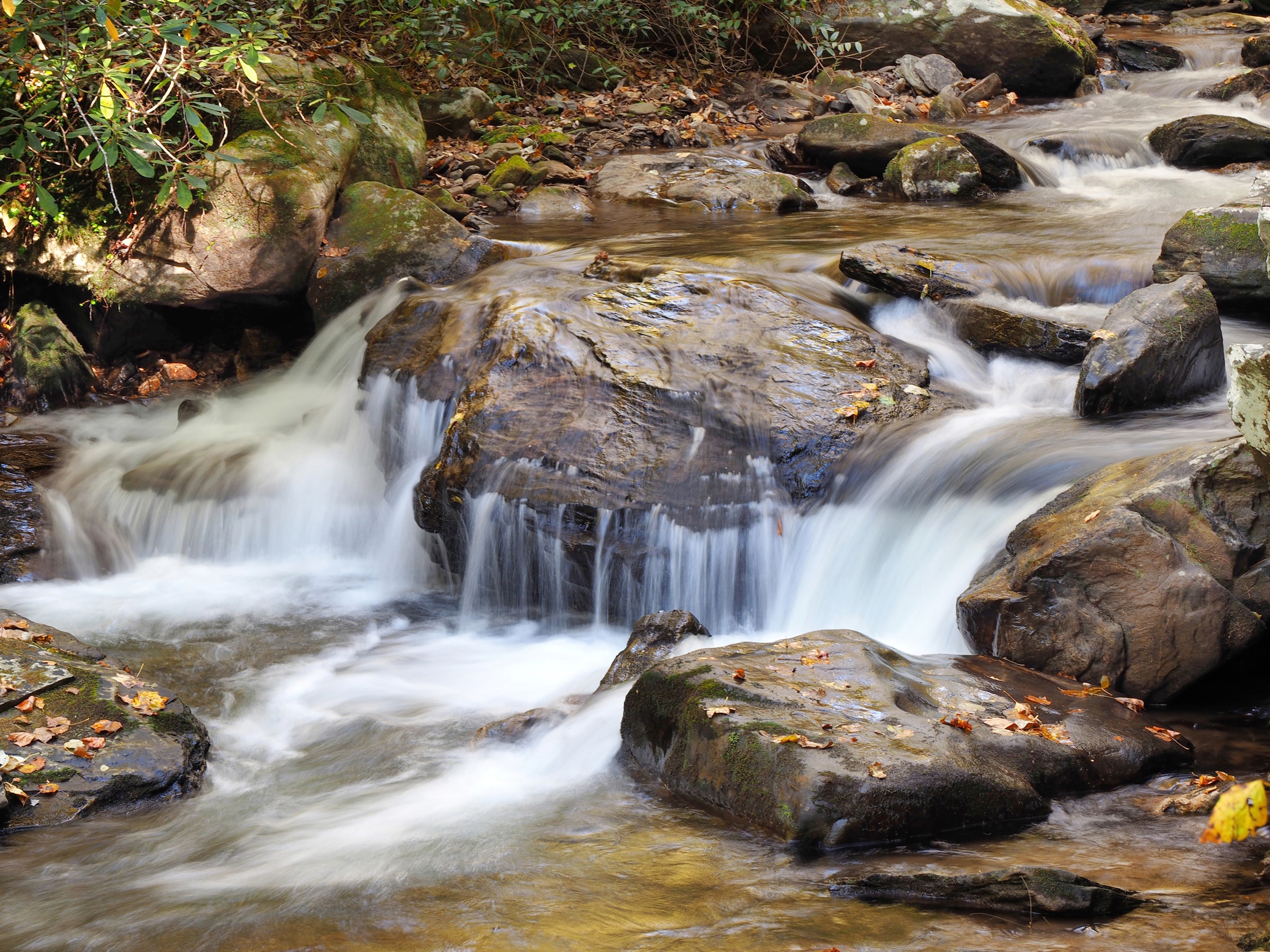 Papermoon Fototapete »WASSERFALL-BÄUME FLUSS SEE STEINE BLUME WALD BACH SONNE«